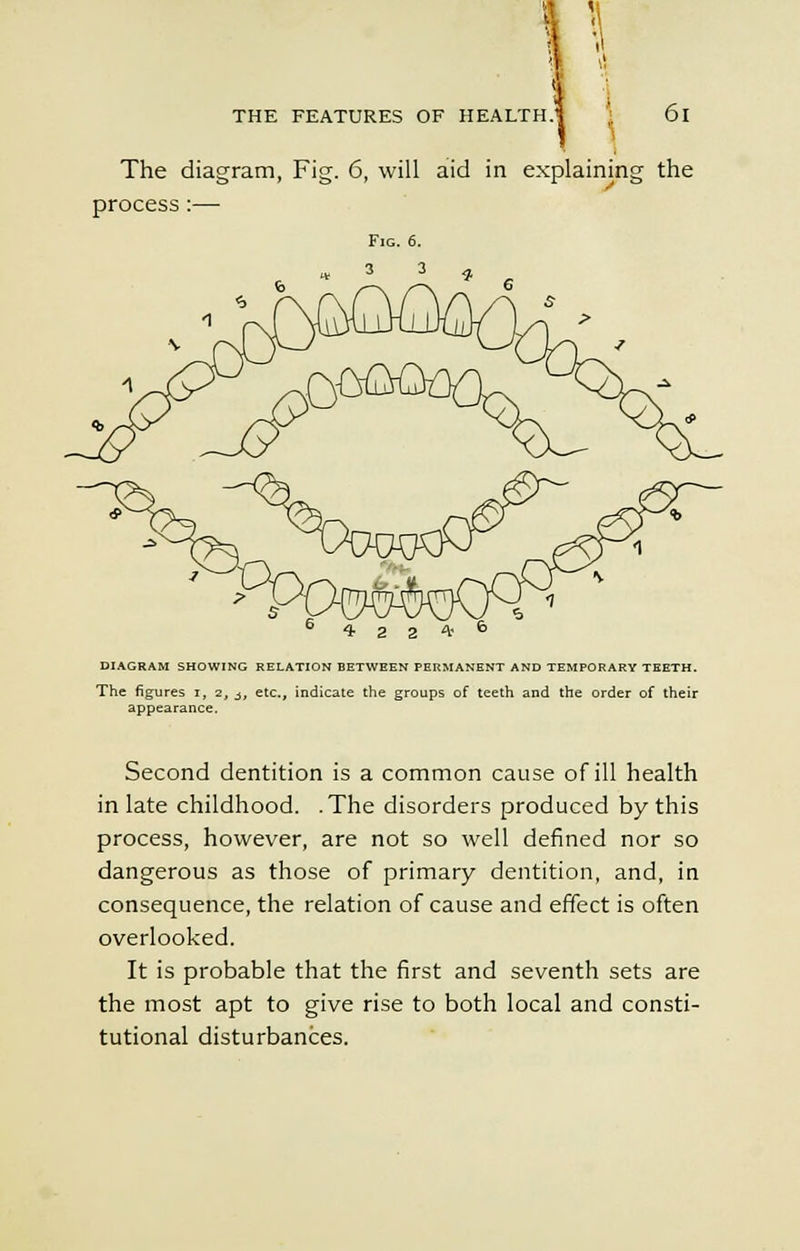 \ THE FEATURES OF HEALTH.1 61 The diagram, Fig. 6, will aid in explaining the process:— QpQiQQO < 'n>a 4 a 2 * 6 DIAGRAM SHOWING RELATION BETWEEN PERMANENT AND TEMPORARY TEETH. The figures i, 2, it etc., indicate the groups of teeth and the order of their appearance. Second dentition is a common cause of ill health in late childhood. .The disorders produced by this process, however, are not so well defined nor so dangerous as those of primary dentition, and, in consequence, the relation of cause and effect is often overlooked. It is probable that the first and seventh sets are the most apt to give rise to both local and consti- tutional disturbances.