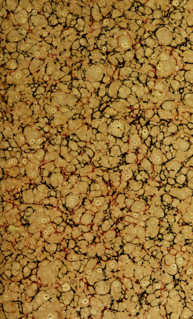 digitised image 3