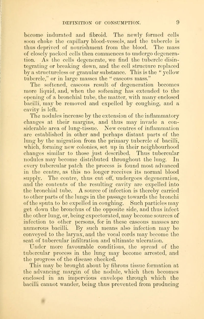 become indurated and fibroid. The newly formed cells soon choke the capillary blood-vessels, and the tubercle is thus deprived of nourishment from the blood. The mass of closely packed cells then commences to undergo degenera- tion. As the cells degenerate, we find the tubercle disin- tegrating or breaking down, and the cell structure replaced by a structureless or granular substance. This is the  yellow tubercle, or in large masses the  caseous mass. The softened, caseous result of degeneration becomes more liquid, and, when the softening has extended to the opening of a bronchial tube, the matter, with many enclosed bacilli, may be removed and expelled by coughing, and a cavity is left. The nodules increase by the extension of the inflammatory changes at their margins, and thus may invade a con- siderable area of lung-tissue. New centres of inflammation are established in other and perhaps distant parts of the lung by the migration from the primary tubercle of bacilli, which, forming new colonies, set up in their neighbourhood changes similar to those just described. Thus tubercular nodules may become distributed throughout the lung. In every tubercular patch the process is found most advanced in the centre, as this no longer receives its normal blood supply. The centre, thus cut off, undergoes degeneration, and the contents of the resulting cavity are expelled into the bronchial tube. A source of infection is thereby carried to other parts of the lungs in the passage towards the bronchi of the sputa to be expelled in coughing. Such particles may get down the bronchus of the opposite side, and thus infect the other lung, or, being expectorated, may become sources of infection to other persons, for in these caseous masses are numerous bacilli. By such means also infection may be conveyed to the larynx, and the vocal cords may become the seat of tubercular infiltration and ultimate ulceration. Under more favourable conditions, the spread of the tubercular process in the lung may become arrested, and the progress of the disease checked. This may be brought about by fibrous tissue formation at the advancing margin of the nodule, which then becomes enclosed in an impervious envelope through which the bacilli cannot wander, being thus prevented from producing