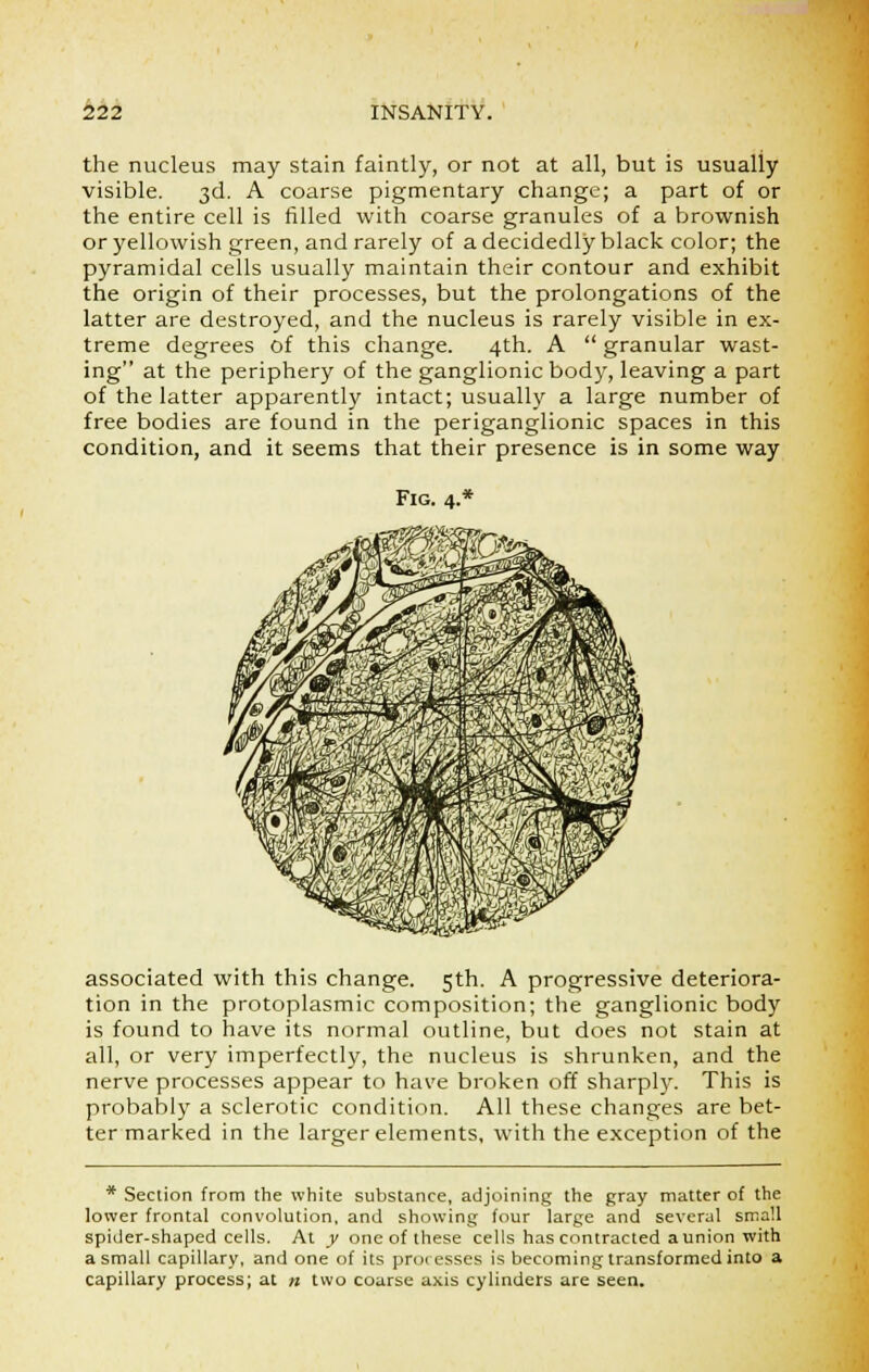 the nucleus may stain faintly, or not at all, but is usually visible. 3d. A coarse pigmentary change; a part of or the entire cell is filled with coarse granules of a brownish or yellowish green, and rarely of a decidedly black color; the pyramidal cells usually maintain their contour and exhibit the origin of their processes, but the prolongations of the latter are destroyed, and the nucleus is rarely visible in ex- treme degrees of this change. 4th. A  granular wast- ing at the periphery of the ganglionic body, leaving a part of the latter apparently intact; usually a large number of free bodies are found in the periganglionic spaces in this condition, and it seems that their presence is in some way Fig. 4.* associated with this change. 5th. A progressive deteriora- tion in the protoplasmic composition; the ganglionic body is found to have its normal outline, but does not stain at all, or very imperfectly, the nucleus is shrunken, and the nerve processes appear to have broken off sharply. This is probably a sclerotic condition. All these changes are bet- ter marked in the larger elements, with the exception of the * Section from the white substance, adjoining the gray matter of the lower frontal convolution, and showing four large and several small spider-shaped cells. At y one of these cells has contracted a union with a small capillary, and one of its processes is becoming transformed into a capillary process; at » two coarse axis cylinders are seen.