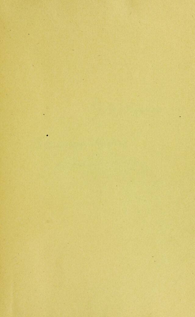 digitised image 3