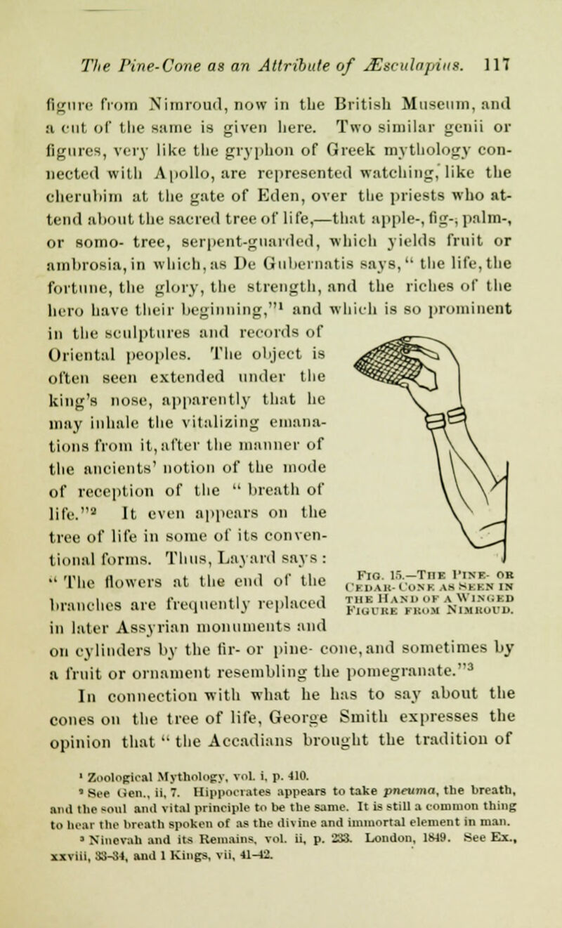 figure from Nimroud, now in the British Museum, and a cut of the same is given here. Two similar genii or figures, very like the gryphon of Greek mythology con- nected with Apollo, are represented watching, like the cherubim at the gate of Eden, over the priests who at- tend about the sacred tree of life,—that apple-, fig-, palm-, or somo- tree, serpent-guarded, which yields fruit or ambrosia,in which,as De Gubernatis says, the life,the fortune, the glory, the strength, and the riches of the hero have their beginning,1 and which is so prominent in the sculptures and records of Oriental peoples. The object is often seen extended under the king's nose, apparently that he may inhale the vitalizing emana- tions from it,after the manner of the ancients' notion of the mode of reception of the  breath of life.3 It even appears on the tree of life in some of its conven- tional forms. Thus, Layard says :  The flowers at the end of the branches are frequently replaced in later Assyrian monuments and on cylinders by the fir- or pine- cone, and sometimes by a fruit or ornament resembling the pomegranate.3 In connection with what he has to say about the cones on the tree of life, George Smith expresses the opinion that  the Accadians brought the tradition of 1 Zoological Mythology, vol. i. p. 410. > See Hen., ii, 7. Hippocrates appears to take pneuma, the breath, ami the tool anil vital principle to be the same. It is still a tommon thing to hear the breath spoken of as the divine anil immortal element in man. * Nincvah and its Remains, vol. ii, p. 233. London, 1849. .See Ex., xxviii, 33-34, and 1 Kings, vii, 41-12. Fig. IS.—The Pine- ok CXDAX-COIU IS BEEN IB thk Hash OF a Winged Figure fbom Nimboud.