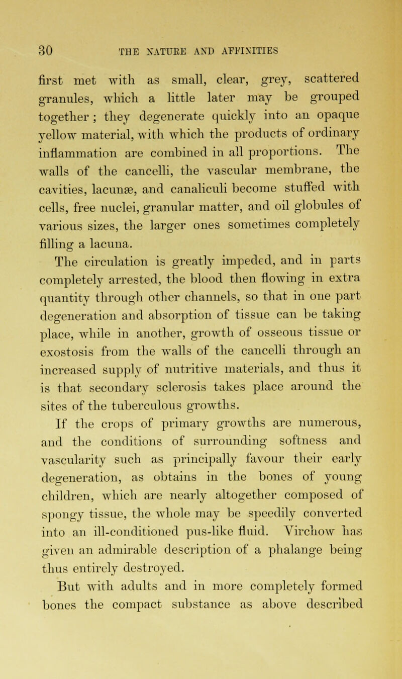 first met with as small, clear, grey, scattered granules, which a little later may be grouped together ; they degenerate quickly into an opaque yellow material, with which the products of ordinary inflammation are combined in all proportions. The walls of the cancelli, the vascular membrane, the cavities, lacunae, and canaliculi become stuffed with cells, free nuclei, granular matter, and oil globules of various sizes, the larger ones sometimes completely filling a lacuna. The circulation is greatly impeded, and in parts completely arrested, the blood then flowing in extra quantity through other channels, so that in one part degeneration and absorption of tissue can be taking place, while in another, growth of osseous tissue or exostosis from the walls of the cancelli through an increased supply of nutritive materials, and thus it is that secondary sclerosis takes place around the sites of the tuberculous growths. If the crops of primary growths are numerous, and the conditions of surrounding softness and vascularity such as principally favour their early degeneration, as obtains in the bones of young children, which are nearly altogether composed of spongy tissue, the whole may be speedily converted into an ill-conditioned pus-like fluid. Virchow has given an admirable description of a phalange being thus entirely destixyed. But with adults and in more completely formed bones the compact substance as above described