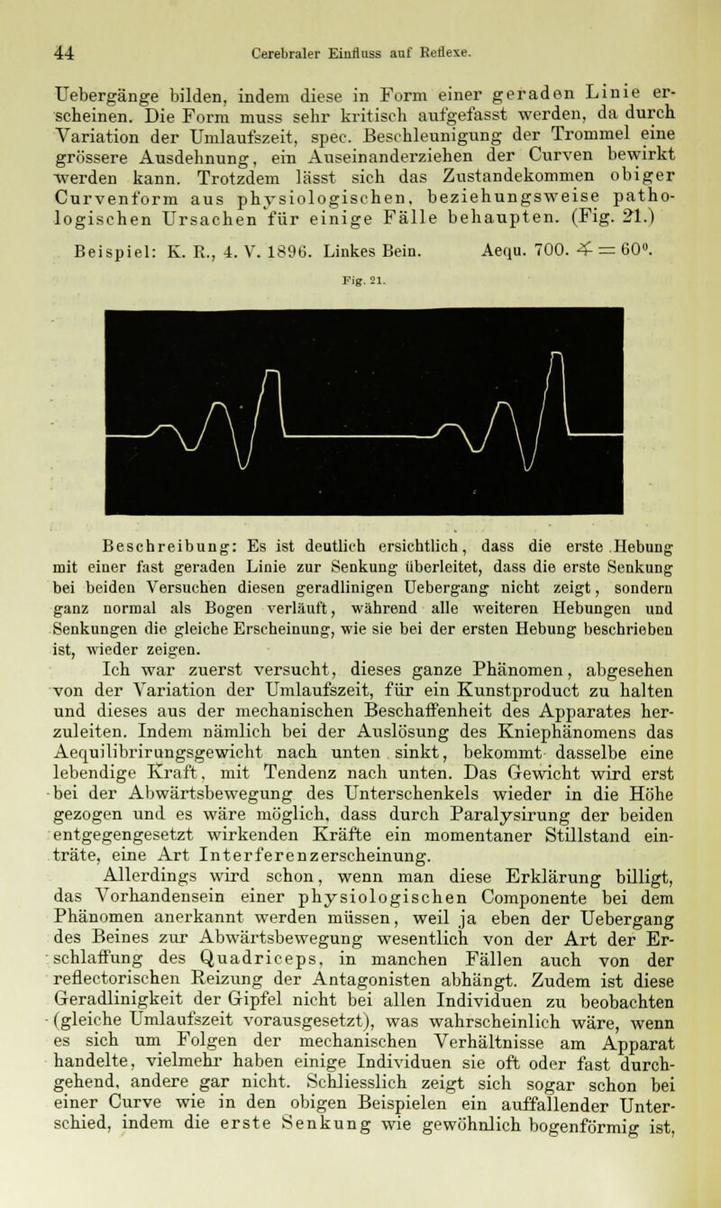 Uebergänge bilden, indem diese in Form einer geraden Linie er- scheinen. Die Form nmss sehr kritisch aufgefasst werden, da durch Variation der Umlaufszeit, spec. Beschleunigung der Trommel eine grössere Ausdehnung, ein Auseinanderziehen der Curven bewirkt werden kann. Trotzdem lässt sich das Zustandekommen obiger Curvent'orm aus physiologischen, beziehungsweise patho- logischen Ursachen für einige Fälle behaupten. (Fig. 21.) Beispiel: K. R., 4. V. 1896. Linkes Bein. Aequ. 700. 4- — 60°. Fig. 21. Beschreibung: Es ist deutlich ersichtlich, dass die erste Hebung mit einer fast geraden Linie zur Senkung überleitet, dass die erste Senkung bei beiden Versuchen diesen geradlinigen Uebergang nicht zeigt, sondern ganz normal als Bogen verläuft, während alle weiteren Hebungen und Senkungen die gleiche Erscheinung, wie sie bei der ersten Hebung beschrieben ist, wieder zeigen. Ich war zuerst versucht, dieses ganze Phänomen, abgesehen von der Variation der Umlaufszeit, für ein Kunstproduct zu halten und dieses aus der mechanischen Beschaffenheit des Apparates her- zuleiten. Indem nämlich bei der Auslösung des Kniephänomens das Aequilibrirungsgewicht nach unten sinkt, bekommt dasselbe eine lebendige Kraft, mit Tendenz nach unten. Das Gewicht wird erst •bei der Abwärtsbewegung des Unterschenkels wieder in die Höhe gezogen und es wäre möglich, dass durch Paralysirung der beiden entgegengesetzt wirkenden Kräfte ein momentaner Stillstand ein- träte, eine Art Interferenzerscheinung. Allerdings wird schon, wenn man diese Erklärung billigt, das Vorhandensein einer physiologischen Componente bei dem Phänomen anerkannt werden müssen, weil ja eben der Uebergang des Beines zur Abwärtsbewegung wesentlich von der Art der Er- schlaffung des Quadriceps, in manchen Fällen auch von der reflectorischen Reizung der Antagonisten abhängt. Zudem ist diese Geradlinigkeit der Gipfel nicht bei allen Individuen zu beobachten (gleiche Ümlaufszeit vorausgesetzt), was wahrscheinlich wäre, wenn es sich um Folgen der mechanischen Verhältnisse am Apparat handelte, vielmehr haben einige Individuen sie oft oder fast durch- gehend, andere gar nicht. Schliesslich zeigt sich sogar schon bei einer Curve wie in den obigen Beispielen ein auffallender Unter- schied, indem die erste Senkung wie gewöhnlich bogenförmig ist,