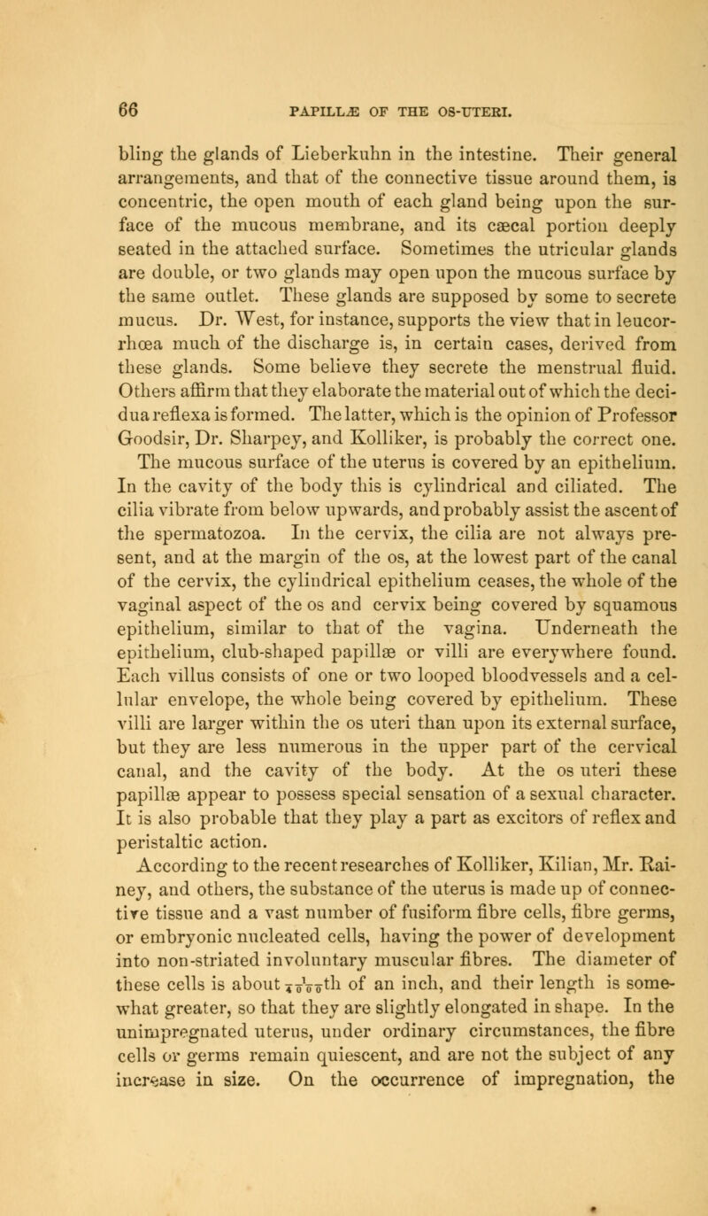 bling the glands of Lieberkuhn in the intestine. Their general arrangements, and that of the connective tissue around them, is concentric, the open mouth of each gland being upon the sur- face of the mucous membrane, and its caecal portion deeply seated in the attached surface. Sometimes the utricular glands are double, or two glands may open upon the mucous surface by the same outlet. These glands are supposed by some to secrete mucus. Dr. West, for instance, supports the view that in leucor- rhcea much of the discharge is, in certain cases, derived from these glands. Some believe they secrete the menstrual fluid. Others affirm that they elaborate the material out of which the deci- dua reflexa is formed. The latter, which is the opinion of Professor Goodsir, Dr. Sharpey, and Kolliker, is probably the correct one. The mucous surface of the uterus is covered by an epitbelium. In the cavity of the body this is cylindrical and ciliated. The cilia vibrate from below upwards, and probably assist the ascent of the spermatozoa. In the cervix, the cilia are not always pre- sent, and at the margin of the os, at the lowest part of the canal of the cervix, the cylindrical epithelium ceases, the whole of the vaginal aspect of the os and cervix being covered by squamous epithelium, similar to that of the vagina. Underneath the epithelium, club-shaped papillae or villi are everywhere found. Each villus consists of one or two looped bloodvessels and a cel- lular envelope, the whole being covered by epithelium. These villi are larger within the os uteri than upon its external surface, but they are less numerous in the upper part of the cervical canal, and the cavity of the body. At the os uteri these papillae appear to possess special sensation of a sexual character. It is also probable that they play a part as excitors of reflex and peristaltic action. According to the recent researches of Kolliker, Kilian, Mr. Kai- ney, and others, the substance of the uterus is made up of connec- tive tissue and a vast number of fusiform fibre cells, fibre germs, or embryonic nucleated cells, having the power of development into non-striated involuntary muscular fibres. The diameter of these cells is about 4oVotn of an inch, and their length is some- what greater, so that they are slightly elongated in shape. In the uninipregnated uterus, under ordinary circumstances, the fibre cells or germs remain quiescent, and are not the subject of any increase in size. On the occurrence of impregnation, the