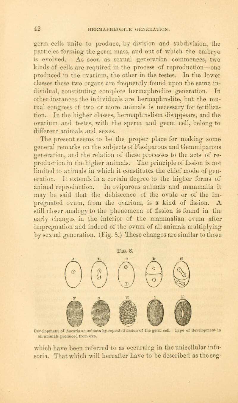 germ cells unite to produce, by division and subdivision, the particles forming the germ mass, and out of which the embryo is evolved. As soon as sexual generation commences, two kinds of cells are required in the process of reproduction—one produced in the ovarium, the other in the testes. In the lower classes these two organs are frequently found upon the same in- dividual, constituting complete hermaphrodite generation. In other instances the individuals are hermaphrodite, but the mu- tual congress of two or more animals is necessary for fertiliza- tion. In the higher classes, hermaphrodism disappears, and the ovarium and testes, with the sperm and germ cell, belong to different animals and sexes. The present seems to be the proper place for making some general remarks on the subjects of Fissiparous andGemmiparous generation, and the relation of these processes to the acts of re- production in the higher animals. The principle of fission is not limited to animals in which it constitutes the chief mode of gen- eration. It extends in a certain degree to the higher forms of animal reproduction. In oviparous animals and mammalia it may be said that the dehiscence of the ovule or of the im- pregnated ovum, from the ovarium, is a kind of fission. A still closer analogy to the phenomena of fission is found in the early changes in the interior of the mammalian ovum after impregnation and indeed of the ovum of all animals multiplying by sexual generation. (Fig. 8.) These changes are similar to those Tig. 8. pmeal of Ascaria acuminata by reputed fission of the germ cell. Type of development in all animals produced from which have been referred 1<< as occurring in the unicellular infu- soria. That which will hereafter have to be described astheseg-