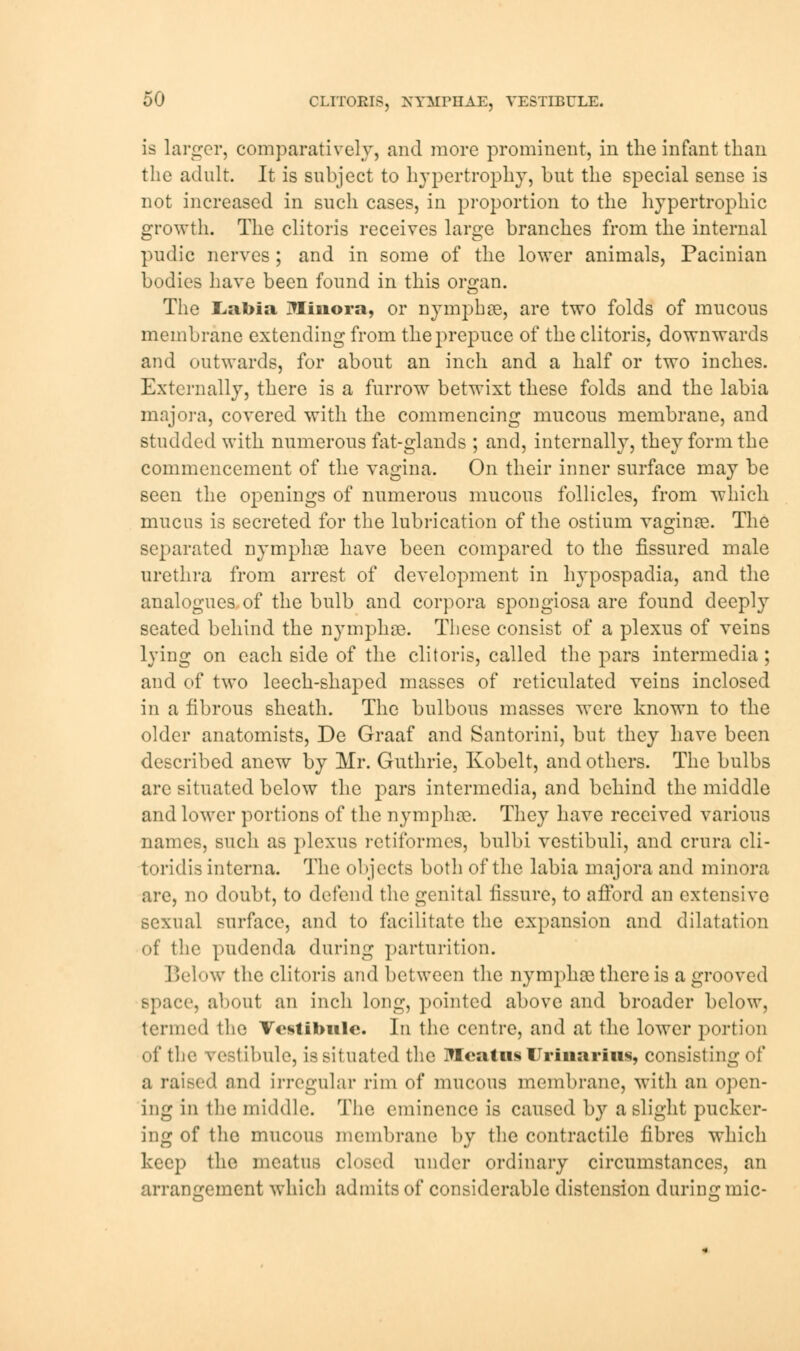 is larger, comparatively, and more prominent, in the infant than the adult. It is subject to hypertrophy, but the special sense is not increased in such cases, in proportion to the hypertrophic growth. The clitoris receives large branches from the internal pudic nerves ; and in some of the lower animals, Pacinian bodies have been found in this organ. The Labia Minora, or nymphae, are two folds of mncous membrane extending from the prepuce of the clitoris, downwards and outwards, for about an inch and a half or two inches. Externally, there is a furrow betwixt these folds and the labia major a, covered with the commencing mucous membrane, and studded with numerous fat-glands ; and, internally, they form the commencement of the vagina. On their inner surface may be seen the openings of numerous mucous follicles, from which mucus is secreted for the lubrication of the ostium vaginae. The separated nymphae have been compared to the fissured male urethra from arrest of development in hypospadia, and the analogues of the bulb and corpora spongiosa are found deeply seated behind the nymphae. These consist of a plexus of veins lying on each side of the clitoris, called the pars intermedia; and of two leech-shaped masses of reticulated veins inclosed in a fibrous sheath. The bulbous masses were known to the older anatomists, De Graaf and Santorini, but they have been described anew by Mr. Guthrie, Kobelt, and others. The bulbs are situated below the pars intermedia, and behind the middle and lower portions of the nymphae. They have received various names, such as plexus rctiformcs, bulbi vestibuli, and crura cli- toridis interna. The objects both of the labia majora and minora are, no doubt, to defend the genital fissure, to afford an extensive sexual surface, and to facilitate the expansion and dilatation of the pudenda during parturition. Below the clitoris and between the nymphae there is a grooved space, about an inch long, pointed above and broader below, termed the Vestibule. In the centre, and at the lower portion of the vestibule, is situated the Meatus Urinarius, consisting of a raised and irregular rim of mucous membrane, with an open- ing in the middle. The eminence is caused by a slight pucker- ing of the mucous membrane by the contractile fibres which keep the meatus closed under ordinary circumstances, an arrangement which admits of considerable distension during mic-