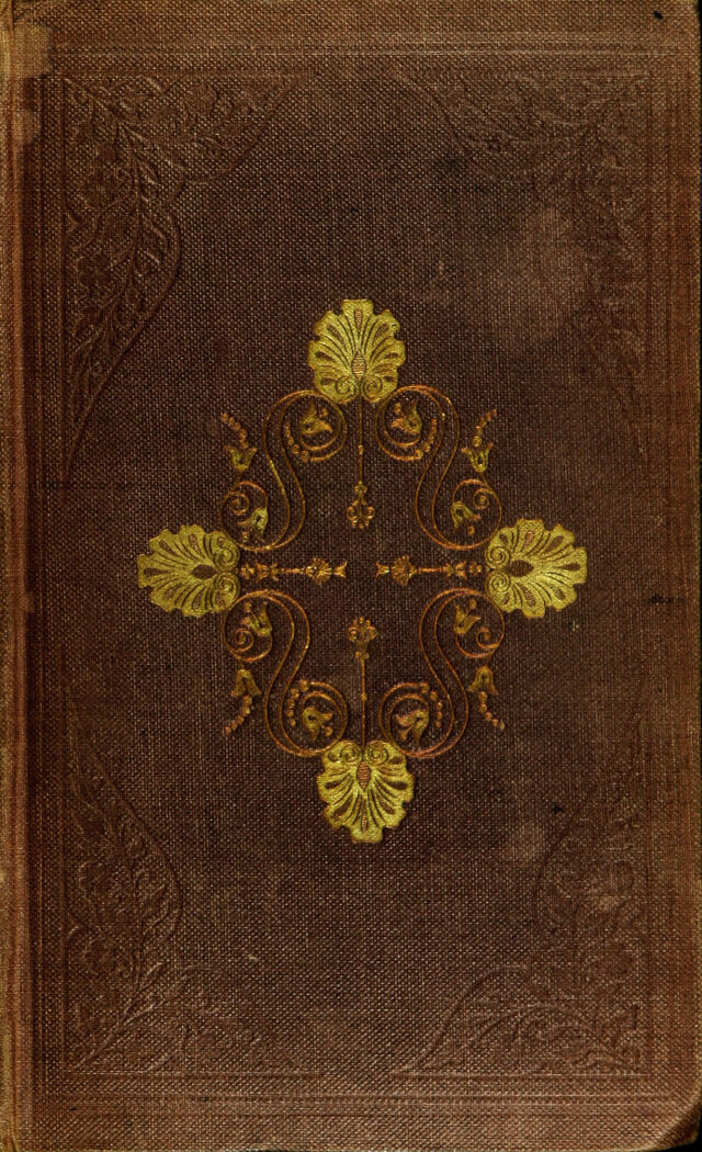 No text description is available for this image