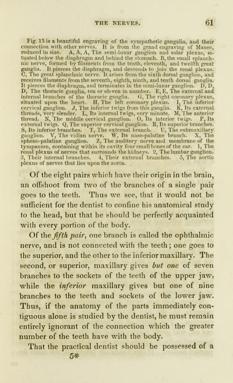 s Fig. 15 is a beautiful engraving of the sympathetic gangalia, and their connection with other nerves. It is from the grand engraving of Manor, reduced in size. A, A, A, The semi-lunar ganglion and solar plexti», si- tuated below the diaphragm and behind the stomach. 15, the small splanch- nic nerve, formed by filaments from the tenth, eleventh, and twelfth great -anglia. It pierces the diaphragm, and descends to Join the renal plexus. 3, The great splanchnic nerve. It arises from the sixth dorsal ganglion, and receives filaments from tile seventh, eighth, ninth, and tenth dorsal ganglia. It pierces the diaphragm) and terminates in the semi-lunar ganglion. 1>, D, D, The thoracic, ganglia, ten or eleven in number. K, E, The external and internal blanches of the thoracic ganglia. G, The right coronary plexus, situated upon the heart. H, The left coronary plexus. I, The inferior cervical ganglion. J, The inferior twig- from this ganglia. K, Its external threads, very slender. L, Its internal twigs, very minute. M, The anterior thread. N, The middle cervical ganglion. 0, Its interior twigs. P, Its external twigs. Q,The superior cervical ganglion. Ii, Irs superior branches. S, Its inferior branches. T, The external branch. U, The submaxillary ganglion. V, The vidian nerve. W, Its naso-palatine branch. X, Tho spheno-palatine ganglion. /., The auditory nerve ami membrane of the tympanum, containing within its cavity four small bonea of the ear. 1, The renal plexus of nerves that surrounds the kidneys. 2, The lumbar ganglion. .1, Their internal branches. 1, Their external branches. 5, The aortic plexus of nerves that lies upon the aorta. Of the eight pairs which have their origin in the brain, an offshoot from two of the branches of a single pair goes to the teeth. Thus we see, that it would not be sufficient for the dentist to confine his anatomical study to the head, but that he should be perfectly acquainted with every portion of the body. Of the fifth pair, one branch is called the ophthalmic nerve, and is not connected with the teeth; one goes to the superior, and the other to the inferior maxillary. The second, or superior, maxillary gives but one of seven branches to the sockets of the teeth of the upper jaw, while the inferior maxillary gives but one of nine branches to the teeth and sockets of the lower jaw. Thus, if the anatomy of the parts immediately con- tiguous alone is studied by the dentist, he must remain entirely ignorant of the connection which the greater number of the teeth have with the body. That the practical dentist should be possessed of a 5*