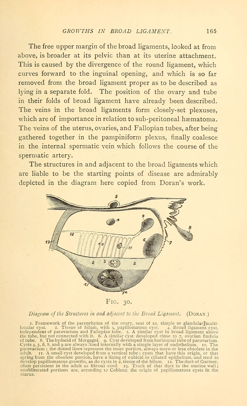 The free upper margin of the broad ligaments, looked at from above, is broader at its pelvic than at its uterine attachment. This is caused by the divergence of the round ligament, which curves forward to the inguinal opening, and which is so far removed from the broad ligament proper as to be described as lying in a separate fold. The position of the ovary and tube in their folds of broad ligament have already been described. The veins in the broad ligaments form closely-set plexuses, which are of importance in relation to sub-peritoneal hasmatoma. The veins of the uterus, ovaries, and Fallopian tubes, after being gathered together in the pampiniform plexus, finally coalesce in the internal spermatic vein which follows the course of the spermatic artery. The structures in and adjacent to the broad ligaments which are liable to be the starting points of disease are admirably depicted in the diagram here copied from Doran's work. Fig. 30. Diagram of the Structures in and adjacent to the Broad Ligament. (Dorax.) 1. Framework of the parenchyma of the ovary, seat of ia, simple or glandularjmulti- locular cyst. 2. Tissue of hilum, with 3, papillomatous cyst. 4. Broad ligament cyst, independent of parovarium and Fallopian tube. 5. A similar cyst in broad ligament above the tube, but not connected with it. 6. A similar cyst developed close to 7, ovarian fimbria of tube. 8. Thehydatid of Morgagni. 9. Cyst developed from horizontal tube of parovarium. Cysts 4, 5, 6, 8, and 9 are always lined internally with a simple layer of endothelium. 10. The parovarium ; the dotted lines represent the inner portion, always more or less obsolete in the adult. 11. A small cyst developed from a vertical tube ; cysts that have this origin, or that spring from the obsolete portion, have a lining of cubical or ciliated epithelium, and tend to develop papillomatous growths, as do cysts in 2, tissue of the hilum. 12. The duct of Gartner, often persistent in the adult as fibrous cord. 13. Track of that duct in the uterine wall; unobliterated portions are, according to Coblenz, the origin of papillomatous cysts in the uterus.