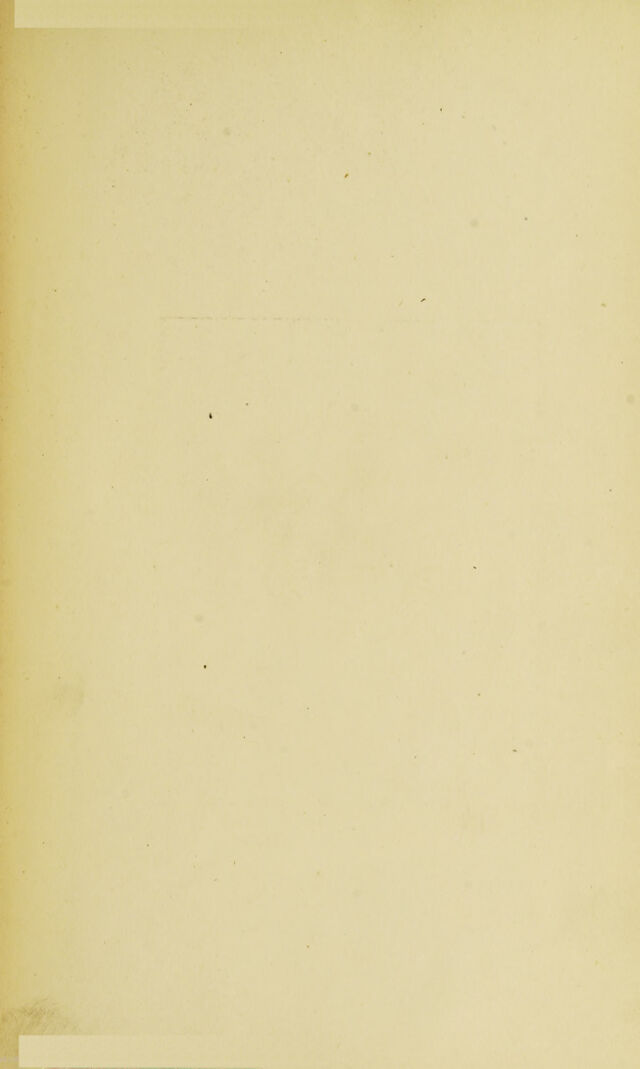 digitised image 3