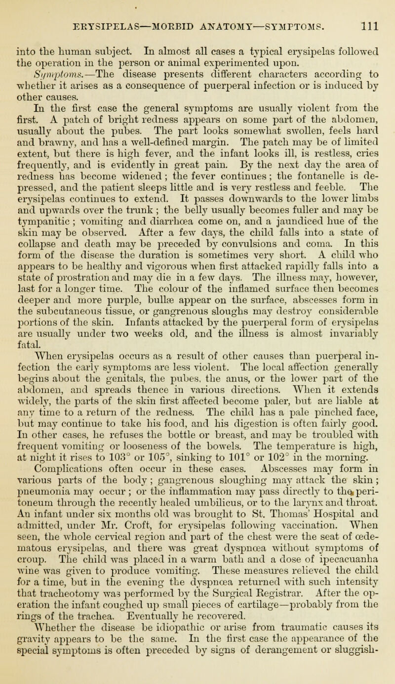 into the human subject. In almost all cases a typical erysipelas followed the operation in the person or animal experimented upon. Symptoms.—The disease presents different characters according to ■whether it arises as a consecpience of puerperal infection or is induced by other causes. In the first case the general symptoms are usually violent from the first. A patch of bright redness appears on some part of the abdomen, usually about the pubes. The part looks somewhat swollen, feels hard and brawny, and has a well-defined margin. The patch may be of limited extent, but there is high fever, and the infant looks ill, is restless, cries frequently, and is evidently in great pain. By the next day the area of redness has become widened ; the fever continues; the fontanelle is de- pressed, and the patient sleeps little and is very restless and feeble. The erysipelas continues to extend. It passes downwards to the lower limbs and upwards over the trunk ; the belly usually becomes fuller and may be tympanitic ; vomiting and diarrhoea come on, and a jaundiced hue of the skin may be observed. After a few days, the child falls into a state of collapse and death may be preceded by convulsions and coma. In this form of the disease the duration is sometimes very short. A child who ajspears to be healthy and vigorous when first attacked rapidly falls into a state of prostration and may die in a few days. The illness may, however, last for a longer time. The colour of the inflamed surface then becomes deeper and more purple, bulla appear on the surface, abscesses form in the subcutaneous tissue, or gangrenous sloughs may destroy considerable portions of the skin. Infants attacked by the puerperal form of erysipelas are usually under two weeks old, and the illness is almost invariably fatal When erysipelas occurs as a result of other causes than puerperal in- fection the early symptoms are less violent. The local affection generally begins about the genitals, the pubes, the anus, or the lower part of the abdomen, and spreads thence in various directions. When it extends widely, the parts of the skin first affected become paler, but are liable at any time to a return of the redness. The child has a pale pinched face, but may continue to take his food, and his digestion is often fairly good. In other cases, he refuses the bottle or breast, and may be troubled with frequent vomiting or looseness of the bowels. The temperature is high, at night it rises to 103° or 105°, sinking to 101° or 102° in the morning. Complications often occur in these cases. Abscesses may form in various parts of the body ; gangrenous sloughing may attack the skin ; pneumonia may occur ; or the inflammation may pass directly to the, peri- toneum through the recently healed umbilicus, or to the larynx and throat. An infant under six months old was brought to St. Thomas' Hospital and admitted, under Mr. Croft, for erysipelas following vaccination. When seen, the whole cervical region and part of the chest were the seat of cede- matous erysipelas, and there was great dyspnoea without symptoms of croup. The child was placed in a warm bath and a dose of ipecacuanha wine was given to produce vomiting. These measures relieved the child for a time, but in the evening the dyspnoea returned with such intensity that tracheotomy wa? performed by the Surgical Registrar. After the op- eration the infant coughed up small pieces of cartilage—probably from the rings of the trachea. Eventually he recovered. Whether the disease be idiopathic or arise from traumatic causes its gravity appears to be the same. In the first case the appearance of the special symptoms is often preceded by signs of derangement or sluggish-