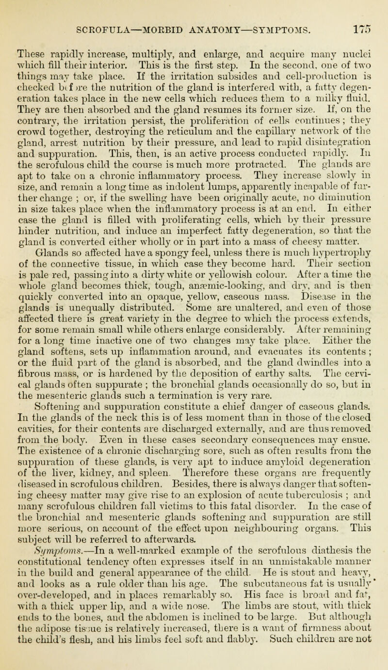 SCROFULA—MORBID ANATOMY—SYMPTOMS. IT.) These rapidly increase, multiply, and enlarge, and acquire many nuclei which fill their interior. This is the first step. In the second, one of two things may take place. If the irritation subsides and cell-production is checked btf >re the nutrition of the gland is interfered with, a fatty degen- eration takes place in the new cells which reduces them to a milky fluid. They are then absorbed and the gland resumes its former size. If, on the contrary, the irritation persist, the proliferation of cells continues ; they crowd together, destroying the reticulum and the capillary network of the gland, arrest nutrition by their pressure, and lead to rapid disintegration and suppuration. This, then, is an active process conducted rapidly. In the scrofulous child the course is much more protracted. The glands are apt to take on a chronic inflammatory process. They increase slowly in size, and remain a long time as indolent lumps, apparently incapable of far- ther change ; or, if the swelling have been originally acute, no diminution in size takes place when the inflammatory process is at an end. In either case the gland is filled with proliferating cells, which by their pressure hinder nutrition, and induce an imperfect fatty degeneration, so that the gland is converted either wholly or in part into a mass of cheesy matter. Glands so affected have a spongy feel, unless there is much hypertrophy of the connective tissue, in which case they become hard. Their section is pale red, passing into a dirty white or yellowish colour. After a time the whole gland becomes thick, tough, ana?mic-looking, and dry, and is then quickly converted into an opaque, yellow, caseous mass. Disease in the glands is unequally distributed. Some are unaltered, and even of those affected there is great variety in the degree to which the process extends, for some remain small while others enlarge considerably. After remaining for a long time inactive one of two changes may take place. Either the gland softens, sets up inflammation around, and evacuates its contents ; or the fluid part of the gland is absorbed, and the gland dwindles into a fibrous mass, or is hardened by the deposition of earthy salts. The cervi- cal glands often suppurate ; the bronchial glands occasionally do so, but in the mesenteric glands such a termination is very rare. Softening and suppuration constitute a chief danger of caseous glands. In the glands of the neck this is of less moment than in those of the closed cavities, for their contents are discharged externally, and are thus removed from the body. Even in these cases secondary consequences may ensue. The existence of a chronic discharging sore, such as often results from the suppuration of these glands, is very ajjt to induce amyloid degeneration of the liver, kidney, and S2)leen. Therefore these organs are frequently diseased in scrofulous children. Besides, there is always danger that soften- ing cheesy matter may give rise to an explosion of acute tuberculosis ; and many scrofulous children fall victims to this fatal disorder. In the case of the bronchial and mesenteric glands softening and suppuration are still more serious, on account of the effect upon neighbouring organs. This subject will be referred to afterwards. Symptoms.—In a well-marked example of the scrofulous diathesis the constitutional tendencj' often expresses itself in an unmistakable manner in the build and general appearance of the child. He is stout and heavy, and looks as a rule older than his age. The subcutaneous fat is usually' over-developed, and in places remarkably so. His face is broad and faf, with a thick upper lip, and a wide nose. The limbs are stout, with thick ends to the bones, and the abdomen is inclined to be large. But although the adipose tissue is relatively increased, there is a want of firmness about the child's flesh, and his limbs feel soft and flabby. Such children are not