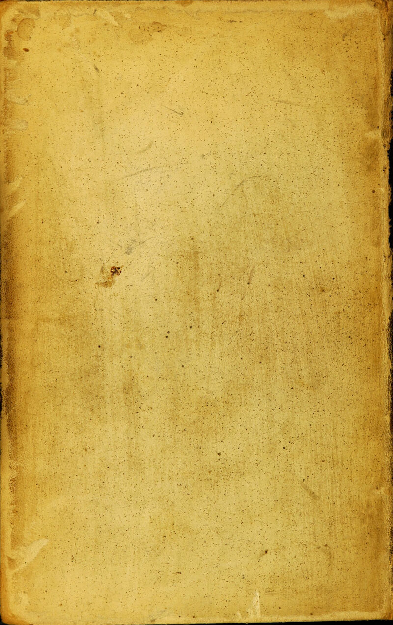 .fv L