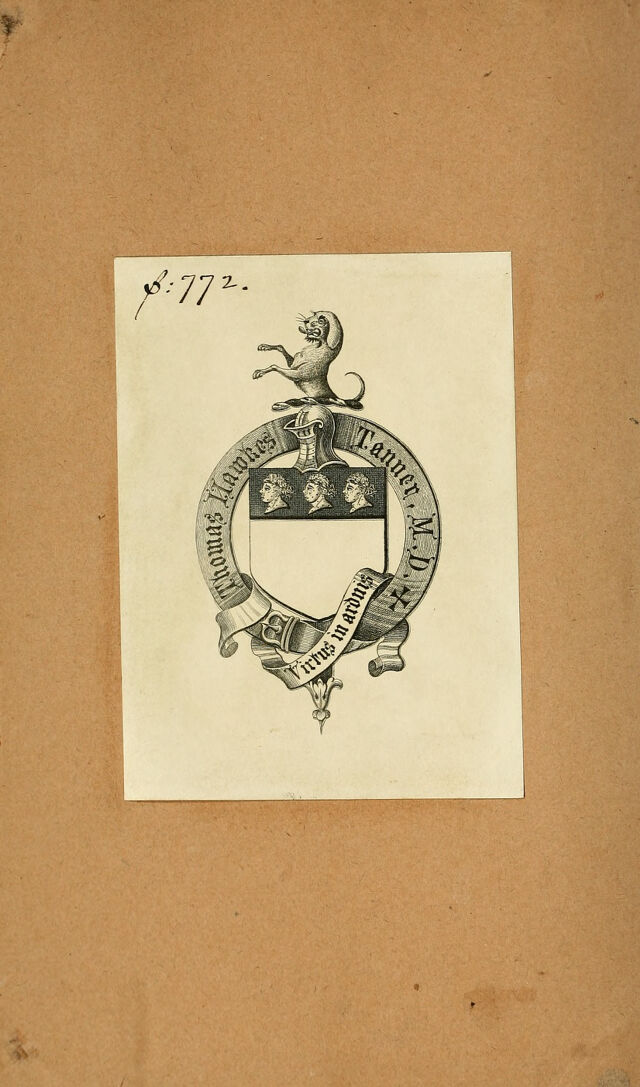 digitised image 2