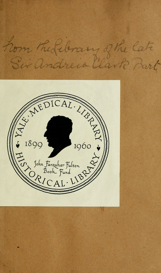 digitised image 3