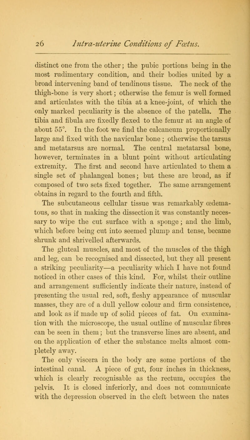 distinct one from the other; the pubic portions being in the most rudimentary condition, and their bodies united by a broad intervening band of tendinous tissue. The neck of the thigh-bone is very short; otherwise the femur is well formed and articulates with the tibia at a knee-joint, of which the only marked peculiarity is the absence of the patella. The tibia and fibula are fixedly flexed to the femur at an angle of about 55°. In the foot we find the calcaneum proportionally large and fixed with the navicular bone ; otherwise the tarsus and metatarsus are normal. The central metatarsal bone, however, terminates in a blunt point without articulating extremity. The first and second have articulated to them a single set of phalangeal bones; but these are broad, as if composed of two sets fixed together. The same arrangement obtains in regard to the fourth and fifth. The subcutaneous cellular tissue was remarkably cedema- tous, so that in making the dissection it was constantly neces- sary to wipe the cut surface with a sponge; and the limb, which before being cut into seemed plump and tense, became shrunk and shrivelled afterwards. The gluteal muscles, and most of the muscles of the thigh and leg, can be recognised and dissected, but they all present a striking peculiarity—a peculiarity which I have not found noticed in other cases of this kind. For, whilst their outline and arrangement sufficiently indicate their nature, instead of presenting the usual red, soft, fleshy appearance of muscular masses, they are of a dull yellow colour and firm consistence, and look as if made up of solid pieces of fat. On examina- tion with the microscope, the usual outline of muscular fibres can be seen in them; but the transverse lines are absent, and on the application of ether the substance melts almost com- pletely away. The only viscera in the body are some portions of the intestinal canal. A piece of gut, four inches in thickness, which is clearly recognisable as the rectum, occupies the pelvis. It is closed inferiorly, and does not communicate with the depression observed in the cleft between the nates