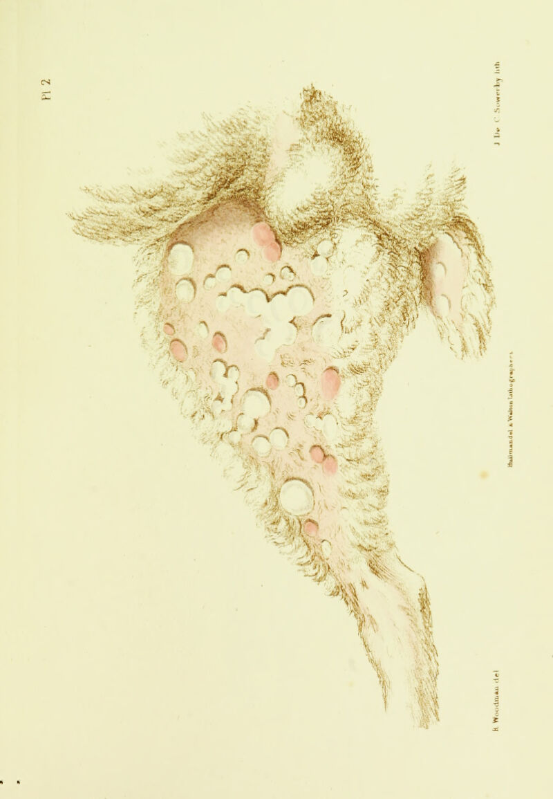 '--** ■' rs S !S \ <, r i - k ;. y ■