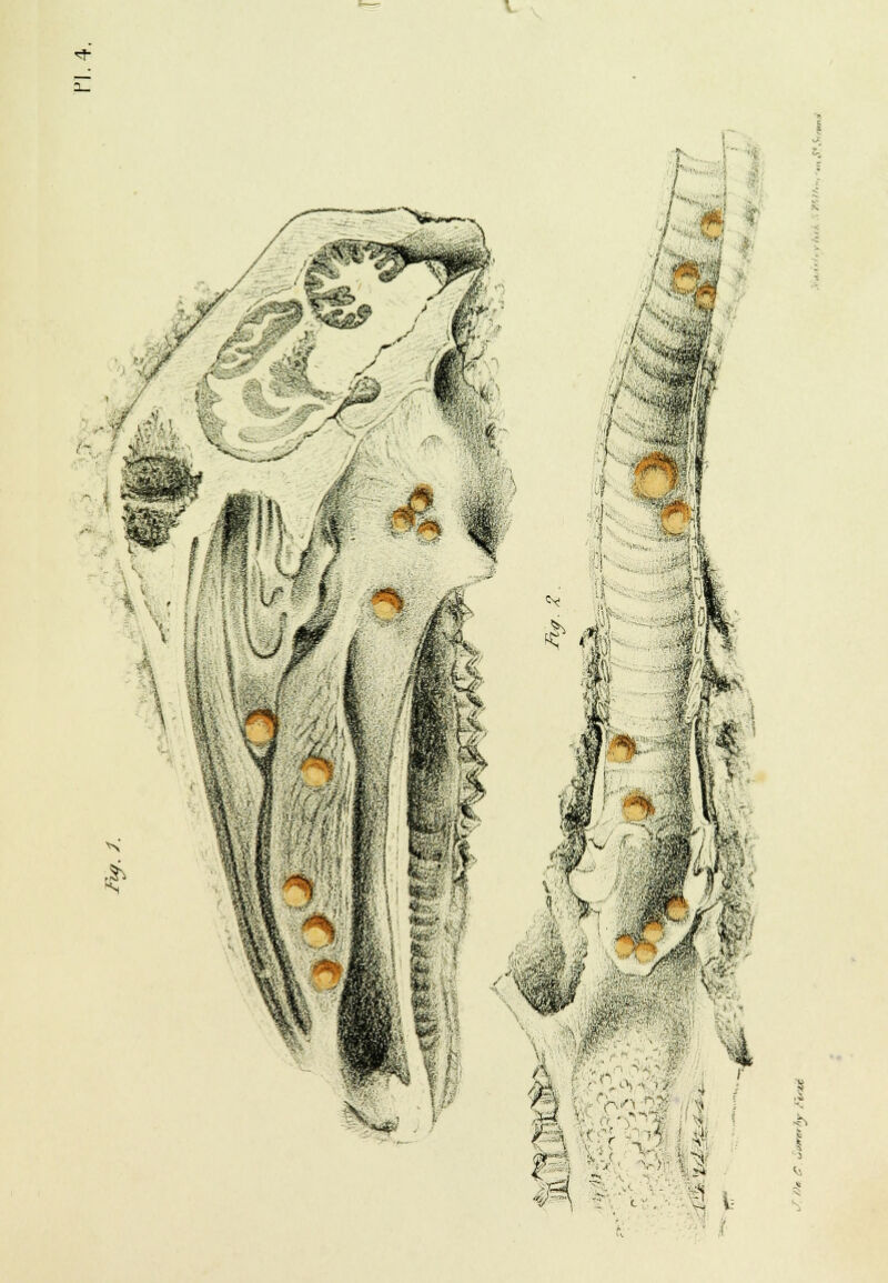 SI r M '■■■ 4 1 ! m' c •