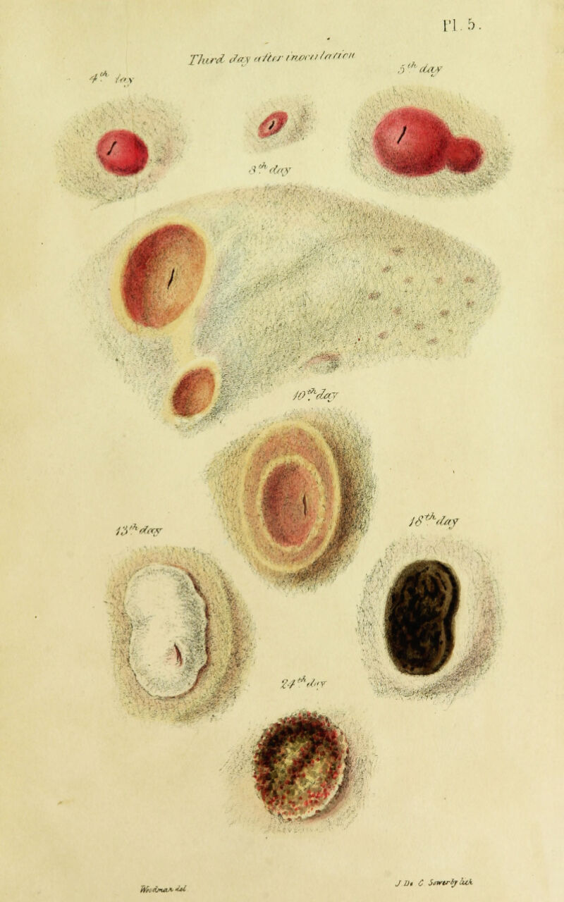 F1.5. Third <7ay a1i*r mecu torion- ,1 * i •v« ■ If Y 1 • #| drdap ■ «s*«&y • /£>ft&f? 1 J$tA'tey WndmoLA.'U. J Di C Sawtrlj luk