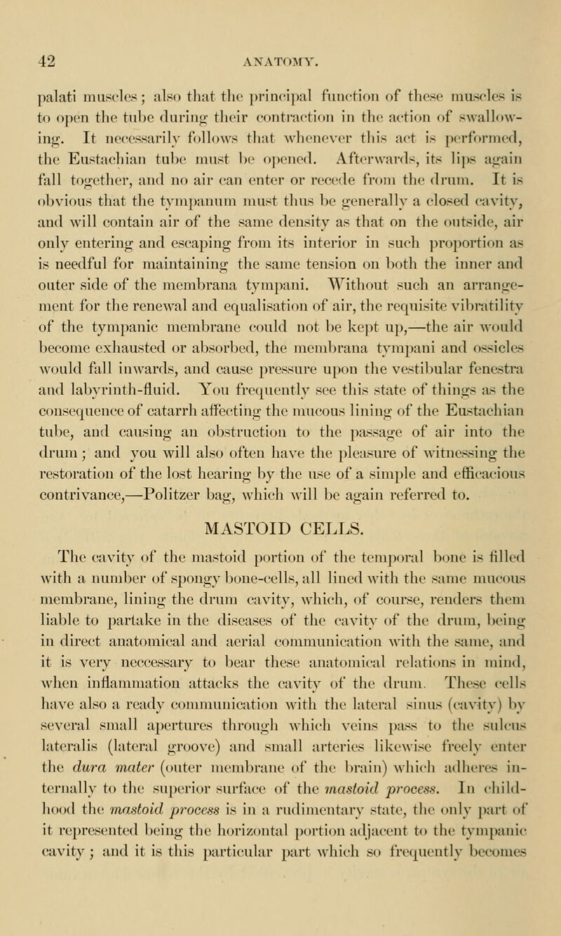 palati muscles; also that the principal function of these muscles is fo open the tube during their contraction in the action of swallow- ing. It necessarily follows that whenever this act is performed, the Eustachian tube must be opened. Afterwards, its lips again fall together, and no air can enter or recede from the drum. It is obvious that the tympanum must thus be generally a closed cavity, and will contain air of the same density as that on the outside, air only entering and escaping from its interior in such proportion as is needful for maintaining the same tension on both the inner and outer side of the membrana tympani. Without such an arrange- ment for the renewal and equalisation of air, the requisite vibratility of the tympanic membrane could not be kept up,—the air would become exhausted or absorbed, the membrana tympani and ossicle- would fall inwards, and cause pressure upon the vestibular fenestra and labyrinth-fluid. You frequently see this state of things as the consequence of catarrh affecting the mucous lining of the Eustachian tube, and causing an obstruction to the passage of air into the drum; and you will also often have the pleasure of witnessing the restoration of the lost hearing by the use of a simple and efficacious contrivance,—Politzer bag, which will be again referred to. MASTOID CELLS. The cavity of the mastoid portion of the temporal bone is filled with a number of spongy bone-cells, all lined with the same mucous membrane, lining the drum cavity, which, of course, renders them liable to partake in the diseases of the cavity of the drum, being in direct anatomical and aerial communication with the same, and it is very neccessary to bear these anatomical relations in mind, when inflammation attacks the cavity of the drum. These cells have also a ready communication with the lateral sinus (cavity) by several small apertures through which veins pass to the sulcus lateralis (lateral groove) and small arteries likewise freely enter the dura mater (outer membrane of the brain) which adheres in- ternally to the superior surface of the mastoid process. In child- hood the mastoid process is in a rudimentary state, the only part of it represented being the horizontal portion adjacent to the tympanic cavity; and it is this particular part which so frequently becomes