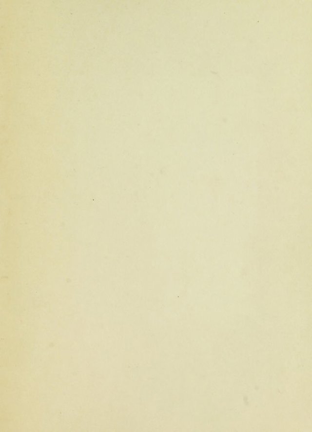 digitised image 3