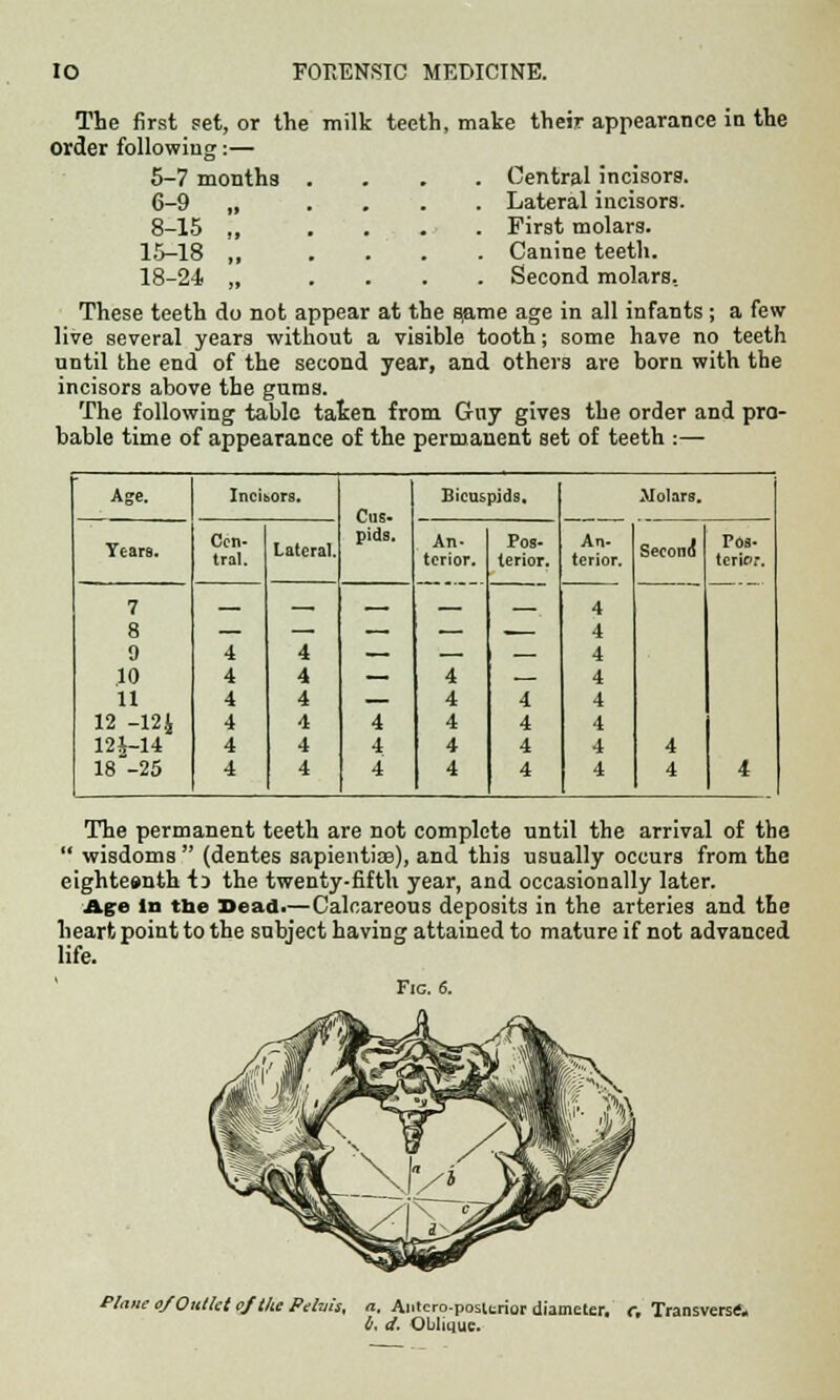 The first set, or the milk teeth, make their appearance in the order following:— 5-7 months 6-9 „ 8-15 „ 1.5-18 „ 18-24 „ Central incisors. Lateral incisors. First molars. Canine teeth. Second molars. These teeth do not appear at the sjame age in all infants ; a few live several years without a visible tooth; some have no teeth until the end of the second year, and others are born with the incisors above the gums. The following table taken from Guy gives the order and pro- bable time of appearance o£ the permanent set of teeth :— Age. IncihOra. Cus- pids. Bicuspids. Molars. Years. Cen- tral. Lateral. An- terior. Pos- terior. 4 4 4 4 An- terior. 4 4 4 4 4 4 4 4 Second1 4 4 Pos- tcricr. 4 7 8 9 .10 11 12 -124 12i-14 18 -25 4 4 4 4 4 4 4 4 4 4 4 4 4 4 4 4 4 4 4 4 The permanent teeth are not complete until the arrival of the  wisdoms  (dentes sapientiae), and this usually occurs from the eighteenth is the twenty-fifth year, and occasionally later. Age In the Dead.—Calcareous deposits in the arteries and the heart point to the subject having attained to mature if not advanced life. Fie. 6. Plane c/Outlet oj the Pelvis, a, Antcro-positrior diameter. If. d. Oblique. c. Transverse*