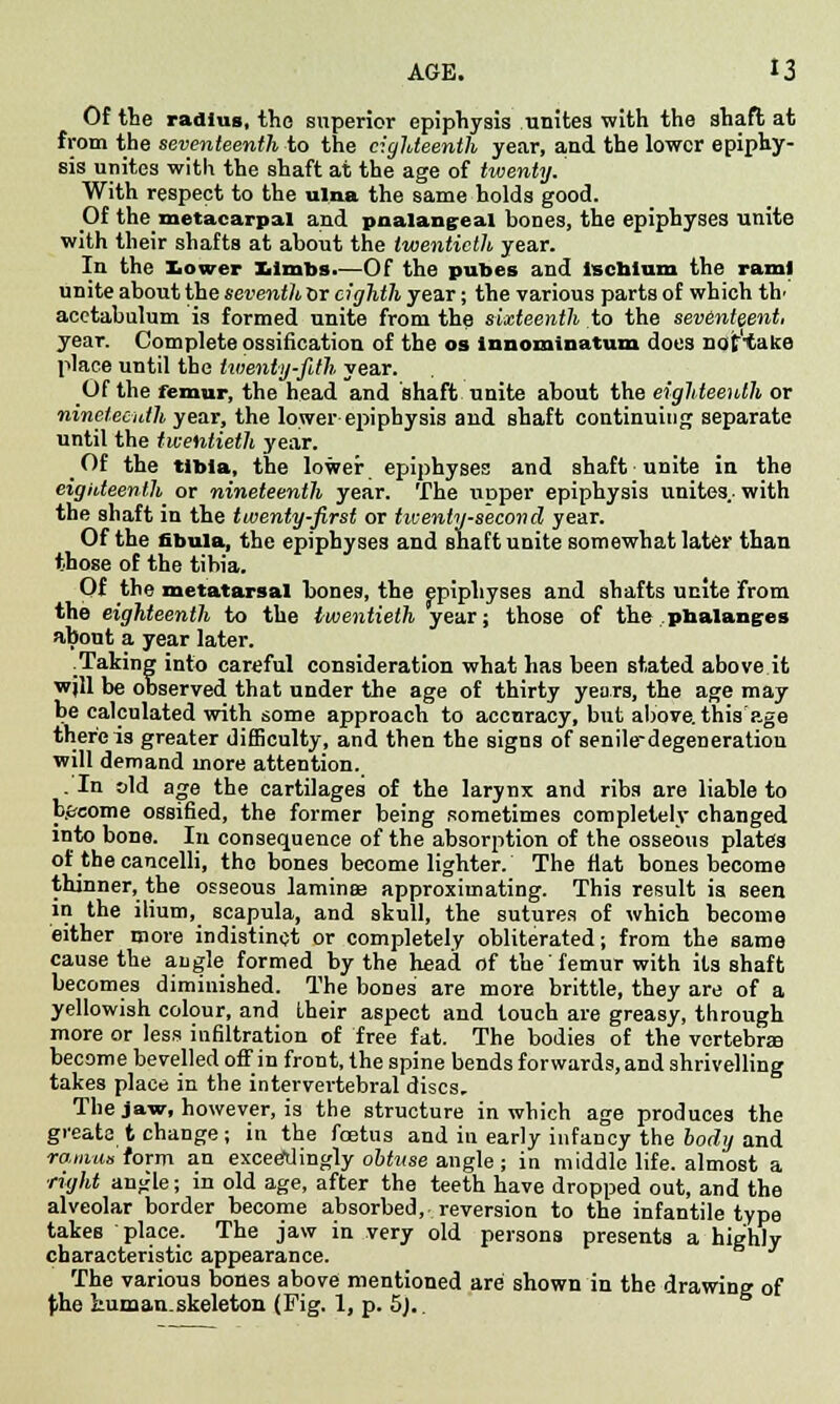 Of the radius, the superior epiphysis unites with the shaft at from the seventeenth to the eighteenth year, a,nd the lower epiphy- sis unites with the shaft at the age of twenty. With respect to the ulna the same holds good. Of the metacarpal and pnalangeal bones, the epiphyses unite with their shafts at about the twentieth year. In the Lower Limbs,—Of the pubes and Ischium the rami unite about the seventh or eighth year; the various parts of which th' acetabulum is formed unite from the sixteenth to the seventeent. year. Complete ossification of the os innomina turn does nof'take place until the twenty-fith year. Of the femur, the head and shaft unite about the eighteenth or nineteenth year, the lower epiphysis and shaft continuing separate until the twentieth year. Of the tibia, the lower epiphyses and shaft unite in the eighteenth or nineteenth year. The upper epiphysis unites.- with the shaft in the twenty-first or twenty-second year. Of the fibula, the epiphyses and shaft unite somewhat later than those of the tibia. Of the metatarsal bones, the epiphyses and shafts unite from the eighteenth to the twentieth year; those of the phalanges about a year later. .Taking into careful consideration what has been stated above it wjll be observed that under the age of thirty years, the age may be calculated with some approach to accuracy, but above, this age there is greater difficulty, and then the signs of senile-degeneration will demand more attention. . In sld age the cartilages of the larynx and ribs are liable to b.&eome ossified, the former being sometimes completely changed into bone. In consequence of the absorption of the osseous plates of the cancelli, the bones become lighter. The flat bones become thinner, the osseous lamina approximating. This result is seen in the ilium, scapula, and skull, the sutures of which become either more indistinct or completely obliterated; from the same cause the angle formed by the head of the femur with its shaft becomes diminished. The bones are more brittle, they are of a yellowish colour, and their aspect and touch are greasy, through more or less infiltration of free fat. The bodies of the vertebra? become bevelled off in front, the spine bends forwards, and shrivelling takes place in the intervertebral discs. The jaw, however, is the structure in which age produces the greate t change; in the foetus and in early infancy the body and ramus form an exceedingly obtuse angle; in middle life, almost a ■right an^le; in old age, after the teeth have dropped out, and the alveolar border become absorbed, reversion to the infantile type takes place. The jaw in very old persons presents a highly characteristic appearance. The various bones above mentioned are shown in the drawing of jihe human-skeleton (Pig. 1, p. 5),.