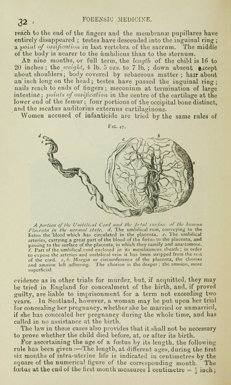 reach to the end of the fingers and the membranas pupillares have entirely disappeared ; testes have descended into the inguinal ring ; a. point of nssijicnlirui in last vertebra of the sacrum. The middle of the body is nearer to the umbilicus than to the sternum. Ab nine months, or full term, the lengtli of the child is 16 to 20 inches ; the weight, 4 lb. 5 ozs. to 7 lb. ; down absent, except about shoulders; body covered by sebaceous matter; hair about an inch long on the head; testes have passed the inguinal ring ; nails reach to ends of fingers; meconium at termination of large intestine; points of ossification in the centre of the cartilage at the lower end of the femur; four portions of the occipital bone distinct, and the meatus auditorius externus cartilaginous. Women accused of infanticide are tried by the same rules of FlC. 47. A portion of l!w Umbilical Cord and the ftrtal surface of the hitman Placenta in the normal state, d. The umbilical vein, conveying lo the foetus the 'blood which has circulated in the placenta, c. The umbilical arteries, carrying a great part of the blood of the foetus to the placenta, and passing to the surface of the placenta, in which they ramify and anastomose. f. Part of the umbilical cord enclosed in its membranous sheath; in order to e\pose the arteries and umbilical vein it has been stripped from the rest of the cord, c, l>. Margin or circumference of the placenta, the chorion and amnion left adhering. The chorion is the deeper ; the amnion, more superficial. evidence as in other trials for murder, but, if acquitted, they may be tried in England for concealmeut of the birth, and, if proved guilty, are liable to imprisonment for a term not exceeding two years. In Scotland, however, a woman may be put upon her trial for concealing her pregnancy, whether she be married or unmarried, if she has concealed her pregnancy during the whole time, and has called in no assistance at the birth. The law in these cases also provides that it shall not be necessary to prove whether the child died before, at, or after its birth. For ascertaining the age of a fcetus by its length, the following rule has been given :•—The length, at different ages, during the first six months of intra-uterine life is indicated in centimetres by the square of the numerical figure of the corresponding month. The fcetus at the end of the first month measures 1 centimetre = \ inch;