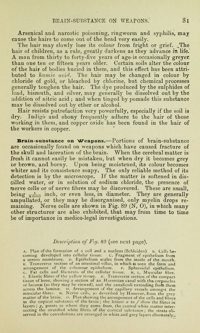 Arsenical and narcotic poisoning, ringworm and syphilis, may cause tbe hairs to come out of the head very easily. The hair may slowly lose its colour from fright or grief. ^The hair of children, as a rule, greatly darkens as they advance in life. A man from thirty to forty-five years of age-is occasionally greyet than one ten or fifteen years older. Certain soils alter the colour of the hair of bodies buried in them, and this effect has been attri- buted to liumic acid. The hair may be changed in colour by chloride of gold, or bleached by chlorine, but chemical processes generally toughen the hair. The dye produced by the sulphides of lead, bismuth, and silver, may generally be dissolved out by the addition of nitric acid; and when tinged by pomade this substance may be dissolved out by ether or alcohol. Hair resists putrefaction very powerfully, especially if the soil is dry. Indigo and ebony frequently adhere to the hair of those working in them, and copper oxide has been found in the hair of the workers in copper. Brain-substance on Weapons.—Portions of brain-substance are occasionally found on weapons which have caused fracture of the skull and laceration of the brain. When the cerebral matter is fresh it cannot easily be mistaken, but when dry it becomes grey or brown, and horny. Upon being moistened, its colour becomes whiter and its consistence soapy. The only reliable method of its detection is by the microscope. If the matter is softened in dis- oilled water, or in solution of sodium chloride, the presence of merve cells or of nerve fibres may be discovered. These are small, being goVti inch, or even less, in diameter. They are generally ampullated, or they may be disorganised, only myelin drops re- maining. Nerve cells are shown in Pig. 89 (N, O), in which many other structures' are also exhibited, that may from time to time be of importance in medico-legal investigations. Description of Fuj. 89 (see next page). A. IMan of the formation of a cell and a nucleus (Schleiden). u. Cells be- coming developed into cellular tissue. c. Fragment of epithelium from a serous membrane. D. Epithelium scales from the inside of the.mouth. k. Transverse section of an intestinal villus, in which is seen the form and arrangement of the columnar eyithelium. F. Spheroidal epithelium. G. Fat cells and filaaients of the cellular tissue. H, L. Muscular fibre, i. Elastic fibres of tlie yellow tissue, k. Transverse section of the compact tissue of bone, showing a section of an Haversian canal with tha corpuscles or lacunae (as they may he viewed), and the canaliculi extending from them across the laminae, m. Arrangement of the capillary vessels amongst the muscular fibres. N. Nerve cells, as described by Hanover, from the grey matter cf the brain. (), Plan showing tbe arrangement of the cells and fibres in the coijtical substance of the brain ; the letters a to/show the fibres in layers ; g, points lo where tbey come from, the central white matter inter- secting the stratified white fibres of the cortical substance; the strata ob- served ill the convolutions are arranged in white and grey layers alternately..