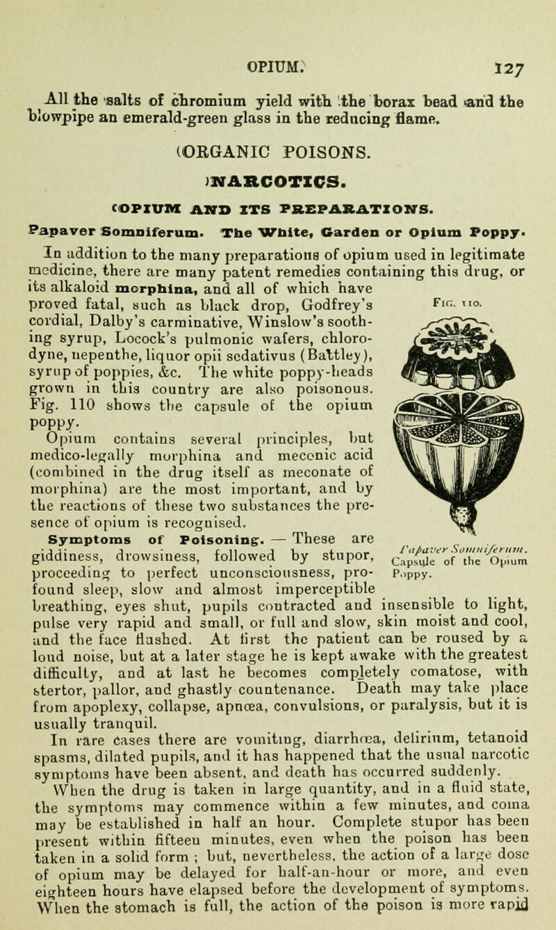 Fi<;. All the salts of chromium yield with .the borax bead arid the (ORGANIC POISONS. NARCOTICS. (OPIUM AND ITS PREPARATIONS. Papavor Somoiferum. Tbe Wnite, Garden or Opium Poppy. In addition to the many preparations of opium used in legitimate medicine, there are many patent remedies containing this drug, or its alkaloid morpbina, and all of which have proved fatal, such as black drop, Godfrey's cordial, Dalby's carminative, Winslow's sooth- ing syrup, Locock's pulmonic wafers, chloro- dyne, nepenthe, liquor opii scdativus (Battley), syrup of poppies, &c. The white poppy-heads grown in this country are also poisonous. Fig. 110 shows the capsule of the opium poppy. Opium contains several principles, hut medico-legally morphina and meconic acid (combined in the drug itself as meconate of morphina) are the most important, and by the reactions of these two substances the pre- sence of opium is recognised. Symptoms of Poisoning:. — These are giddiness, drowsiness, followed by stupor, proceeding to perfect unconsciousness, pro- found sleep, slow and almost imperceptible breathing, eyes shut, pupils contracted and insensible to light, pulse very rapid and small, or full and slow, skin moist and cool, and the face flushed. At first the patieut can be roused by a loud noise, but at a later stage he is kept awake with the greatest difficulty, and at last he becomes completely comatose, with stertor, pallor, and ghastly countenance. Death may take place from apoplexy, collapse, apncea, convulsions, or paralysis, but it is usually tranquil. In rare Cases there are vomiting, diarrhrea, delirium, tetanoid spasms, dilated pupils, and it has happened that the usual narcotic symptoms have been absent, and death has occurred suddenly. When the drug is taken in large quantity, and in a fluid state, the symptoms may commence within a few minutes, and coma may be established in half an hour. Complete stupor has been present within fifteen minutes, even when the poison has been taken in a solid form ; but, nevertheless, the action of a large dose of opium may be delayed for balf-an-hour or more, and even eighteen hours have elapsed before the development of symptoms. When the stomach is full, the action of the poison is more rapid l'tipa Vey Somitiferum. Capsule of the Opium Poppy.