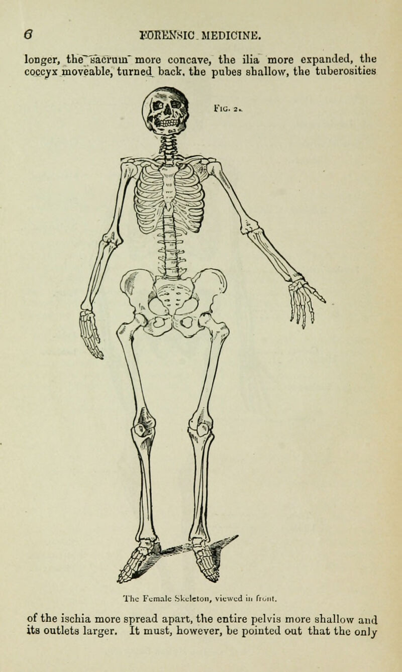 longer, theT sacrum more concave, the ilia more expanded, the coccyx moveable, turned, back, the pubes shallow, the tuberosities Fie. 2.. The Female Skeleton, viewed ill front. of the ischia more spread apart, the entire pelvis more shallow and its outlets larger. It must, however, be pointed out that the only