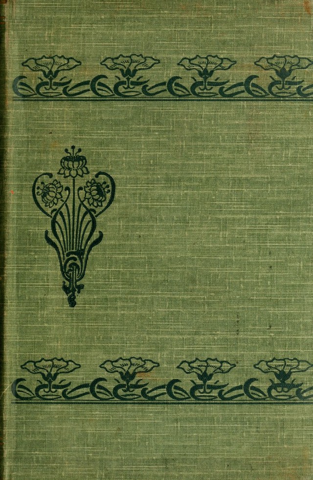 digitised image 1