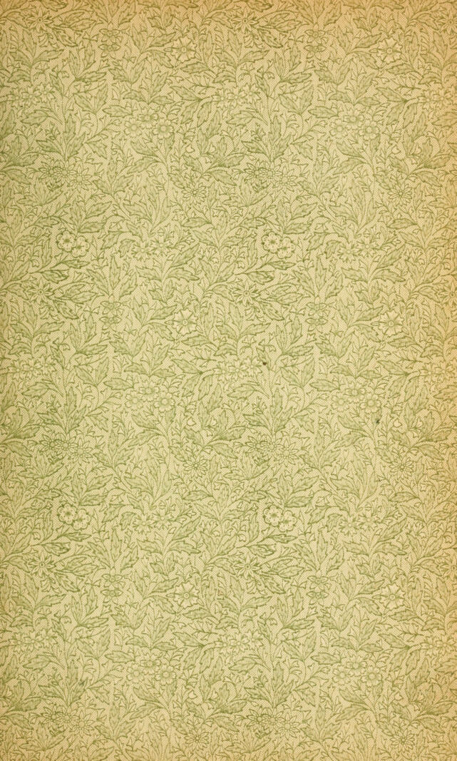 digitised image 3