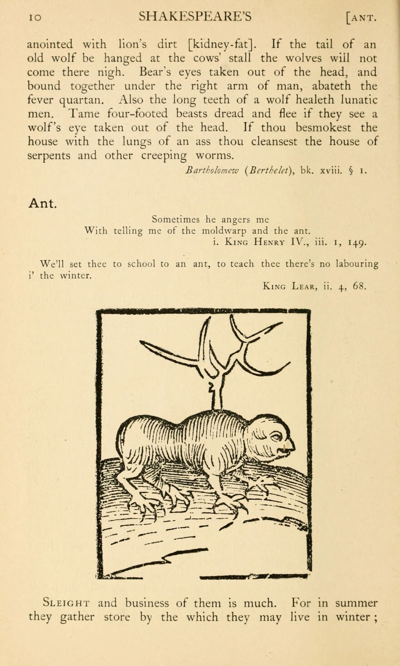 lO SHAKESPEARE'S [ant. anointed with lion's dirt [kidney-fat]. If the tail of an old wolf be hanged at the cows' stall the wolves will not come there nigh. Bear's eyes taken out of the head, and bound together under the right arm of man, abateth the fever quartan. Also the long teeth of a wolf healeth lunatic men. Tame four-footed beasts dread and flee if they see a wolf's eye taken out of the head. If thou besmokest the house with the lungs of an ass thou cleansest the house of serpents and other creeping worms. Bartholomezv {Berthe/et), bk. xviii. § i. Ant. Sometimes he angers me With telling me of the moldwarp and the ant. i. King Henry IV., iii. i, 149. We'll set thee to school to an ant, to teach thee there's no labourin| i' the winter. King Lear, ii. 4, 68. Sleight and business of them is much. For in summer they gather store by the which they may live in winter;