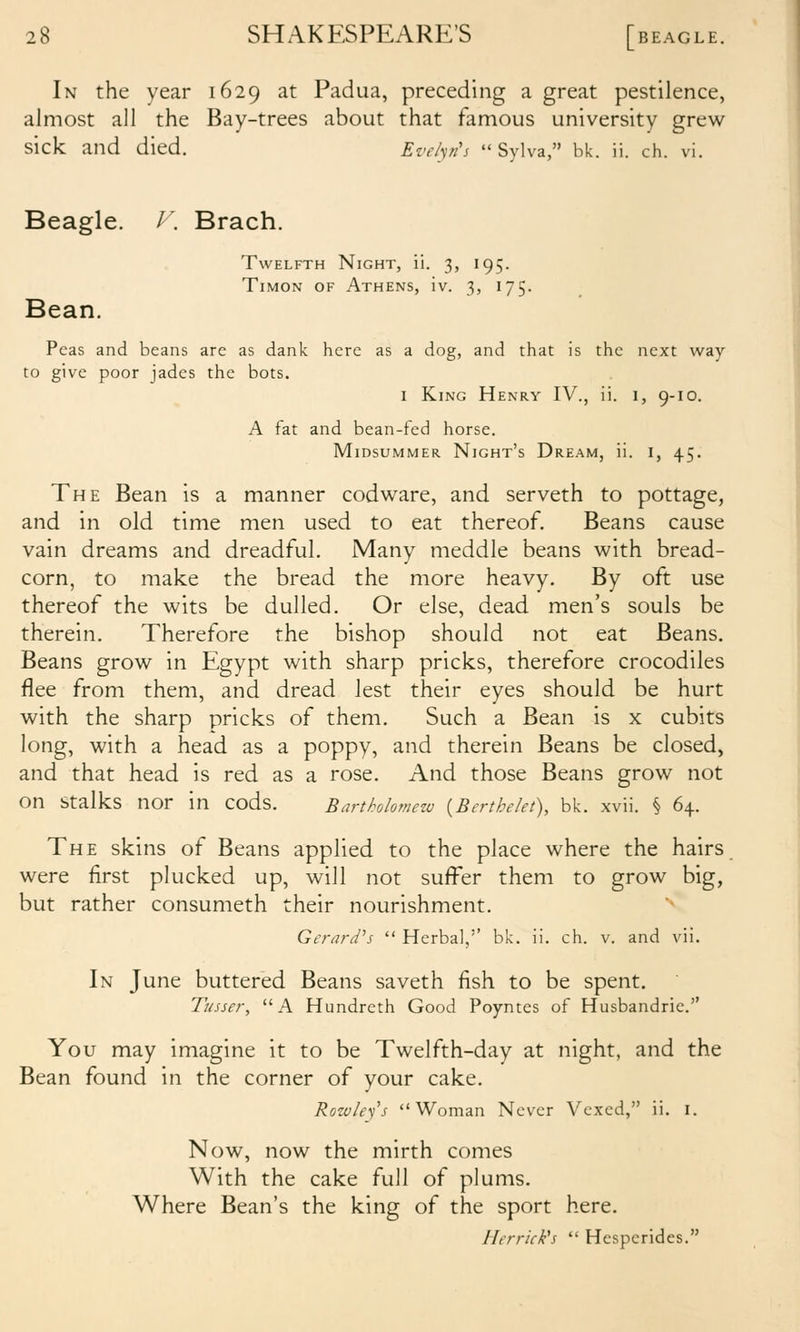 In the year 1629 at Padua, preceding a great pestilence, almost all the Bay-trees about that famous university grew sick and died. Evelvh  Sylva, bk. ii. ch. vi. Beagle. V. Brach. Twelfth Night, ii. 3, 195. TiMON OF Athens, iv. 3, 175. Bean. Peas and beans arc as dank here as a dog, and that is the next way to give poor jades the bots. I King Henry IV., ii. 1, 9-10. A fat and bean-fed horse. IVIiDsuMMER Night's Dream, ii. i, 45. The Bean is a manner codware, and serveth to pottage, and in old time men used to eat thereof. Beans cause vain dreams and dreadful. Many meddle beans with bread- corn, to make the bread the more heavy. By oft use thereof the wits be dulled. Or else, dead men's souls be therein. Therefore the bishop should not eat Beans. Beans grow in Egypt with sharp pricks, therefore crocodiles flee from them, and dread lest their eyes should be hurt with the sharp pricks of them. Such a Bean is x cubits long, with a head as a poppy, and therein Beans be closed, and that head is red as a rose. And those Beans grow not on stalks nor in cods. Bartholomezu [Berthekt), bk. xvii. § 64. The skins of Beans applied to the place where the hairs were first plucked up, will not suffer them to grow big, but rather consumeth their nourishment. Gerard's  Herbal,'' bk. ii. ch. v. and vii. In June buttered Beans saveth fish to be spent. Tusser, A Hundreth Good Poyntes of Husbandrie. You may imagine it to be Twelfth-day at night, and the Bean found in the corner of your cake. Rozvley's Woman Never Vexed, ii. i. Now, now the mirth comes With the cake full of plums. Where Bean's the king of the sport here. Merrick's  Hesperides.