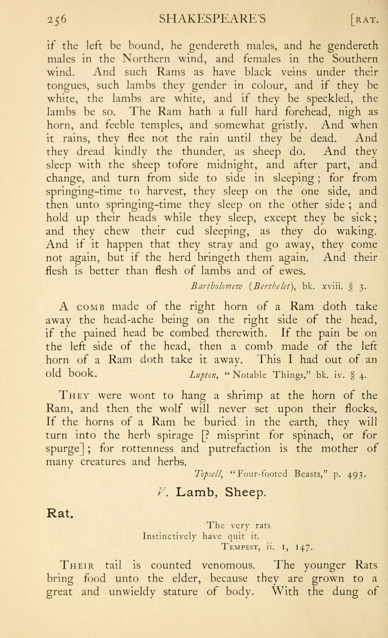 if the left be bound, he gendereth males, and he gendereth males in the Northern wind, and females in the Southern wind. And such Rams as have black veins under their tongues, such lambs they gender in colour, and if they be white, the lambs are white, and if they be speckled, the lambs be so. The Ram hath a full hard forehead, nigh as horn, and feeble temples, and somewhat gristly. And when it rains, they flee not the rain until they be dead. And they dread kindly the thunder, as sheep do. And they sleep with the sheep tofore midnight, and after part, and change, and turn from side to side in sleeping ; for from springing-time to harvest, they sleep on the one side, and then unto springing-time they sleep on the other side ; and hold up their heads while they sleep, except they be sick; and they chew their cud sleeping, as they do waking. And if it happen that they stray and go away, they come not again, but if the herd bringeth them again. And their flesh is better than flesh of lambs and of ewes, Bartholomew {Berthekt), bk. xviii. § 3. A COMB made of the right horn of a Ram doth take away the head-ache being on the right side of the head, if the pained head be combed therewith. If the pain be on the left side of the head, then a comb made of the left horn of a Ram doth take it away. This I had out of an old book. Lupton,  Notable Things, bk. iv. § 4. They were wont to hang a shrimp at the horn of the Ram, and then the wolf will never set upon their flocks. If the horns of a Ram be buried in the earth, they will turn into the herb spirage [.^ misprint for spinach, or for spurge] ; for rottenness and putrefaction is the mother of many creatures and herbs. Topiell, Four-footed Beasts, p. 493. V. Lamb, Sheep. Rat. The very rats Instinctively have quit it. Tempest, ii. i, 147. Their tail is counted venomous. The younger Rats bring food unto the elder, because they are grown to a great and unwieldy stature of body. With the dung of