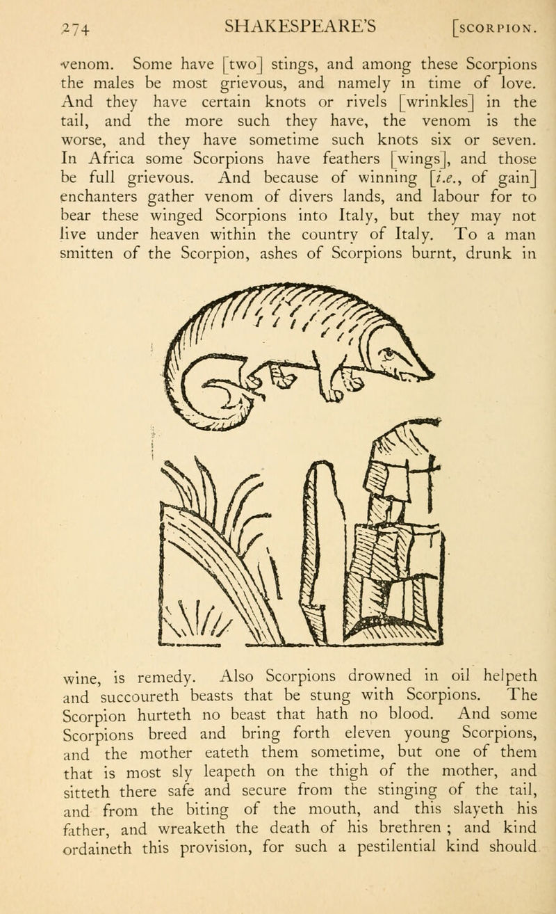 7-l\ •venom. Some have [two] stings, and among these Scorpions the males be most grievous, and namely in time of love. And they have certain knots or rivels [wrinkles] in the tail, and the more such they have, the venom is the worse, and they have sometime such knots six or seven. In Africa some Scorpions have feathers [wings], and those be full grievous. And because of winning \i.e.^ of gain] enchanters gather venom of divers lands, and labour for to bear these winged Scorpions into Italy, but they may not live under heaven within the country of Italy. To a man smitten of the Scorpion, ashes of Scorpions burnt, drunk in wine, is remedy. Also Scorpions drowned in oil helpeth and succoureth beasts that be stung with Scorpions. The Scorpion hurteth no beast that hath no blood. And some Scorpions breed and bring forth eleven young Scorpions, and the mother eateth them sometime, but one of them that is most sly leapech on the thigh of the mother, and sitteth there safe and secure from the stinging of the tail, and from the biting of the mouth, and this slayeth his father, and wreaketh the death of his brethren ; and kind ordaineth this provision, for such a pestilential kind should