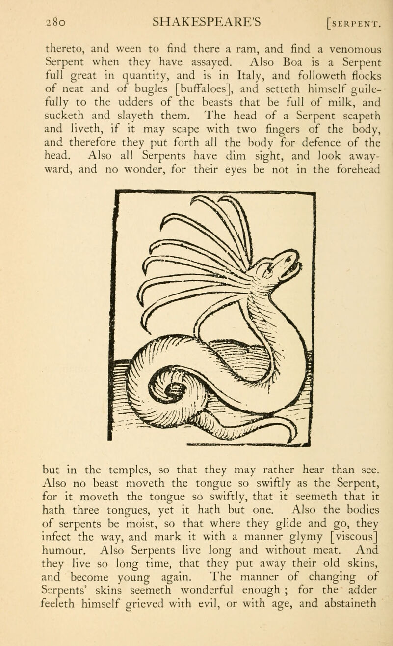 thereto, and ween to find there a ram, and find a venomous Serpent when they have assayed. Also Boa is a Serpent full great in quantity, and is in Italy, and followeth flocks of neat and of bugles [buffaloes], and setteth himself guile- fully to the udders of the beasts that be full of milk, and sucketh and slayeth them. The head of a Serpent scapeth and liveth, if it may scape with two fingers of the body, and therefore they put forth all the body for defence of the head. Also all Serpents have dim sight, and look away- ward, and no wonder, for their eyes be not in the forehead but in the temples, so that they may rather hear than see. Also no beast moveth the tongue so swiftly as the Serpent, for it moveth the tongue so swiftly, that it seemeth that it hath three tongues, yet it hath but one. Also the bodies of serpents be moist, so that where they glide and go, they infect the way, and mark it with a manner glymy [viscous] humour. Also Serpents live long and without meat. And they live so long time, that they put away their old skins, and become young again. The manner of changing of Serpents' skins seemeth wonderful enough ; for the adder feeleth himself grieved with evil, or with age, and abstaineth