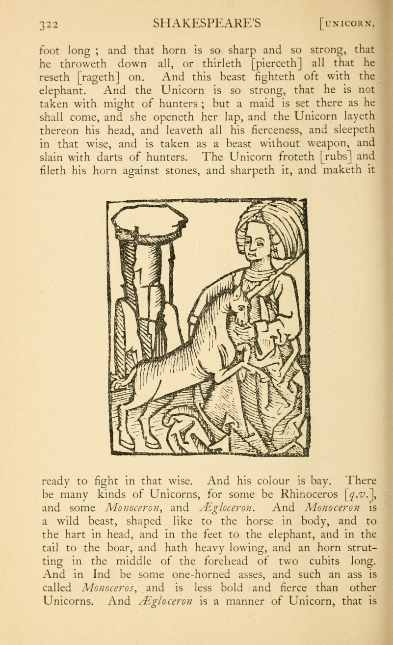 foot long ; and that horn is so sharp and so strong, that he throweth down all, or thirleth [pierceth] all that he reseth [rageth] on. And this beast hghteth oft with the elephant. And the Unicorn is so strong, that he is not taken with might of hunters ; but a maid is set there as he shall come, and she openeth her lap, and the Unicorn layeth thereon his head, and leaveth all his fierceness, and sleepeth in that wise, and is taken as a beast without weapon, and slain with darts of hunters. The Unicorn froteth [rubs] and fileth his horn against stones, and sharpeth it, and maketh it ready to fight in that wise. And his colour is bay. There be many kinds of Unicorns, for some be Rhinoceros [^.'t'.], and some Monoceron^ and j^gloceron. And Monoceron is a wild beast, shaped like to the horse in body, and to the hart in head, and in the feet to the elephant, and in the tail to the boar, and hath heavy lowing, and an horn strut- ting in the middle of the forehead of two cubits long. And in Ind be some one-horned asses, and such an ass is called Monoceros^ and is less bold and fierce than other Unicorns. And j-Egloceron is a manner of Unicorn, that is