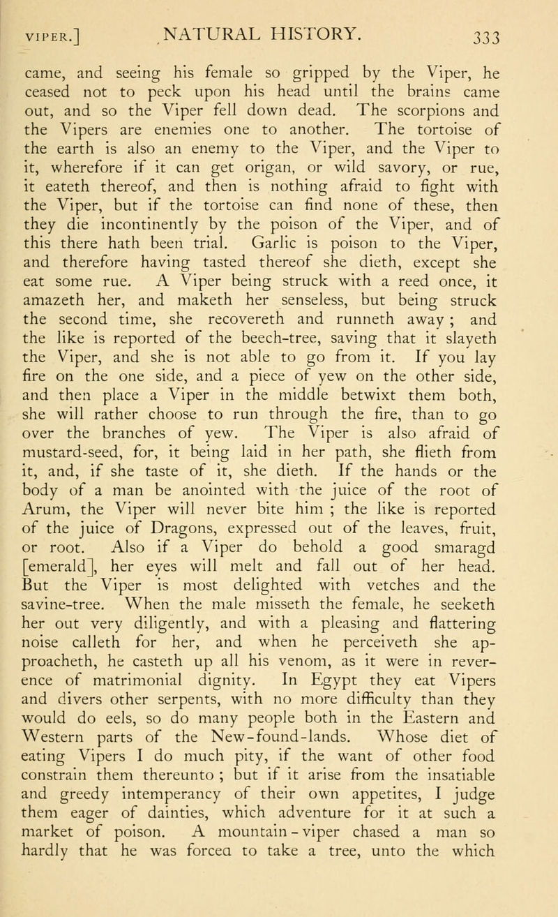 came, and seeing his female so gripped by the Viper, he ceased not to peck upon his head until the brains came out, and so the Viper fell down dead. The scorpions and the Vipers are enemies one to another. The tortoise of the earth is also an enemy to the Viper, and the Viper to it, wherefore if it can get origan, or wild savory, or rue, it eateth thereof, and then is nothing afraid to fight with the Viper, but if the tortoise can find none of these, then they die incontinently by the poison of the Viper, and of this there hath been trial. Garlic is poison to the Viper, and therefore having tasted thereof she dieth, except she eat some rue. A Viper being struck with a reed once, it amazeth her, and maketh her senseless, but being struck the second time, she recovereth and runneth away ; and the like is reported of the beech-tree, saving that it slayeth the Viper, and she is not able to go from it. If you lay fire on the one side, and a piece of yew on the other side, and then place a Viper in the middle betwixt them both, she will rather choose to run through the fire, than to go over the branches of yew. The Viper is also afraid of mustard-seed, for, it being laid in her path, she flieth from it, and, if she taste of it, she dieth. If the hands or the body of a man be anointed with the juice of the root of Arum, the Viper will never bite him ; the like is reported of the juice of Dragons, expressed out of the leaves, fruit, or root. Also if a Viper do behold a good smaragd [emerald], her eyes will melt and fall out of her head. But the Viper is most delighted with vetches and the savine-tree. When the male misseth the female, he seeketh her out very diligently, and with a pleasing and flattering noise calleth for her, and when he perceiveth she ap- proacheth, he casteth up all his venom, as it were in rever- ence of matrimonial dignity. In Egypt they eat Vipers and divers other serpents, with no more difficulty than they would do eels, so do many people both in the Eastern and Western parts of the New-found-lands. Whose diet of eating Vipers I do much pity, if the want of other food constrain them thereunto ; but if it arise from the insatiable and greedy intemperancy of their own appetites, I judge them eager of dainties, which adventure for it at such a market of poison. A mountain - viper chased a man so hardly that he was forcea to take a tree, unto the which