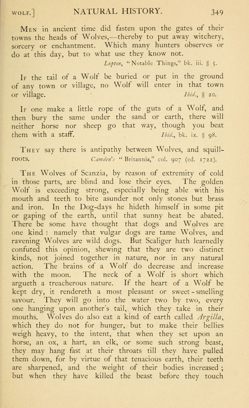 Men in ancient time did fasten upon the gates of their towns the heads of Wolves,—thereby to put away witchery, sorcery or enchantment. Which many hunters observes or do at this day, but to what use they know not. Lupton, Notable Things, bk. iii. § 5. If the tail of a Wolf be buried or put in the ground of any town or village, no Wolf will enter in that town or village. ' Ibid., § 20. If one make a little rope of the guts of a Wolf, and then bury the same under the sand or earth, there will neither horse nor sheep go that way, though you beat them with a staff. Ibid., bk. ix. ,§ 98. Thev say there is antipathy between Wolves, and squill- roots. CiVfiden's Britannia, col. 907 (cd. 1722). The Wolves of Scanzia, by reason of extremity of cold in those parts, are blind and lose their eyes. The golden Wolf is exceeding strong, especially being able with his mouth and teeth to bite asunder not only stones but brass and iron. In the Dog-days he hideth himself in some pit or gaping of the earth, until that sunny heat be abated. There be some have thought that dogs and Wolves are one kind : namely that vulgar dogs are tame Wolves, and ravening Wolves are wild dogs. But Scaliger hath learnedly confuted this opinion, shewing that they are two distinct kinds, not joined together in nature, nor in any natural action. The brains of a Wolf do decrease and increase with the moon. The neck of a Wolf is short which argueth a treacherous nature. If the heart of a Wolf be kept dry, it rendereth a most pleasant or sweet-smelling savour. They will go into the water two by two, every one hanging upon another's tail, which they take in their mouths. Wolves do also eat a kind of earth called Argilla., which they do not for hunger, but to make their bellies weigh heavy, to the intent, that when they set upon an horse, an ox, a hart, an elk, or some such strong beast, they may hang fast at their throats till they have pulled them down, for by virtue of that tenacious earth, their teeth are sharpened, and the weight of their bodies increased ; but when they have killed the beast before they touch