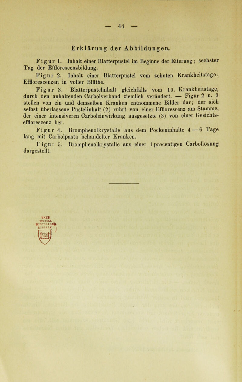 Erklärung der Abbildungen. Figur 1, Inhalt einer Blatterpustel im Beginne der Eiterung; sechster Tag der Efflorescenzbildung. Figur 2. Inhalt einer Blatterpustel vom zehnten Krankheitstage; Efflorescenzen in voller Blüthe. Figur 3. Blatterpustelinhalt gleichfalls vom 10. Krankheitstage, durch den anhaltenden Carbolverband ziemlich verändert. — Figur 2 u. 3 stellen von ein und demselben Kranken entnommene Bilder dar; der sich selbst überlassene Pustelinhalt (2) rührt von einer Efflorescenz am Stamme, der einer intensiveren CarboleinWirkung ausgesetzte (3) von einer Gesichts- efflorescenz her. Figur 4. Bromphenolkiystalle aus dem Pockeninhalte 4 — 6 Tage lang mit Carbolpasta behandelter Kranken. Figur 5. Bromphenolkiystalle aus einer 1 procentigen Carbollösung dargestellt.