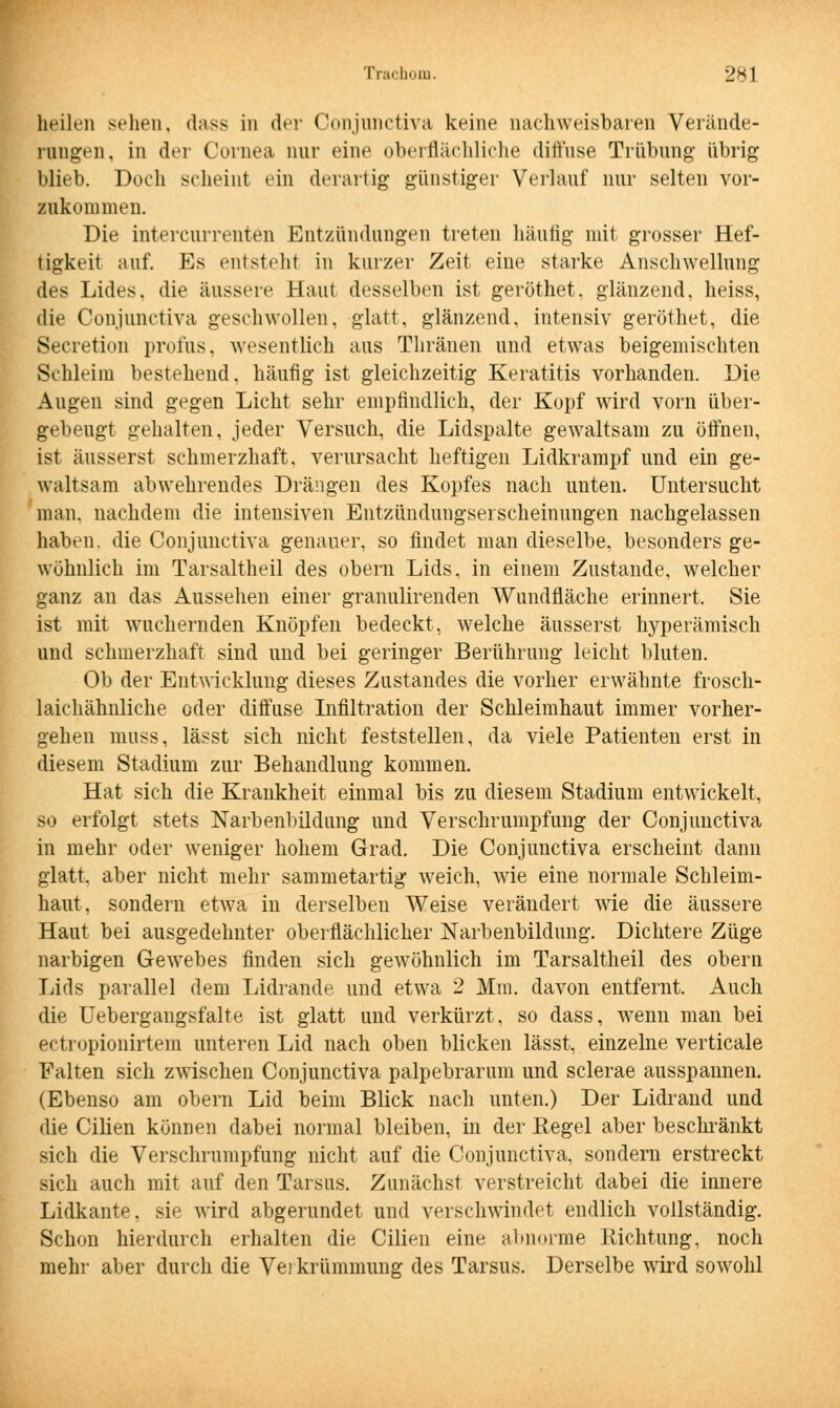 heilen sehen, dass in der Conjunctiva keine nachweisbaren Verände- rongen, in der Cornea nur eine oberflächliche diffuse Trübung übrig blieb. Doch scheint ein derartig günstiger Verlauf nur selten vor- zukommen. Die intercurrenten Entzündungen treten häufig mit grosser Hef- tigkeit auf. Es entsteht in kurzer Zeit eine starke Anschwellung des Lides, die äussere Haut desselben ist geröthet. glänzend, heiss, die Conjnnctiva geschwollen, glatt, glänzend, intensiv geröthet, die Secretion profus, wesentlich aus Thränen und etwas beigemischten Schleim bestehend, häufig ist gleichzeitig Keratitis vorhanden. Die Augen sind gegen Licht sehr empfindlich, der Kopf wird vorn über- gebeugt gehalten, jeder Versuch, die Lidspalte gewaltsam zu öffnen, ist äusserst schmerzhaft, verursacht heftigen Lidkrampf und ein ge- waltsam abwehrendes Drängen des Kopfes nach unten. Untersucht man. nachdem die intensiven Entzündungsei scheinungen nachgelassen haben, die Conjnnctiva genauer, so findet man dieselbe, besonders ge- wöhnlich im Tarsaltheil des obern Lids, in einem Zustande, welcher ganz an das Aussehen einer granulirenden Wundfläche erinnert. Sie ist mit wuchernden Knöpfen bedeckt, welche äusserst hyperämisch und schmerzhaft sind und bei geringer Berührung leicht bluten. Ob der Entwicklung dieses Zustandes die vorher erwähnte frosch- laichähnliche oder diffuse Infiltration der Schleimhaut immer vorher- gehen muss, lässt sich nicht feststellen, da viele Patienten erst in diesem Stadium zur Behandlung kommen. Hat sich die Krankheit einmal bis zu diesem Stadium entwickelt, so erfolgt stets Narbenbildung und VerSchrumpfung der Conjnnctiva in mehr oder weniger hohem Grad. Die Conjnnctiva erscheint dann glatt, aber nicht mehr sammetartig weich, wie eine normale Schleim- haut, sondern etwa in derselben Weise verändert wie die äussere Haut bei ausgedehnter oberflächlicher Narbenbildung. Dichtere Züge narbigen Gewrebes finden sich gewöhnlich im Tarsaltheil des obern Lids parallel dem Lidrande und etwa 2 Mm. davon entfernt. Auch die Uebergangsfalte ist glatt und verkürzt, so dass, wenn man bei ectropionirtem unteren Lid nach oben blicken lässt, einzelne verticale Falten sich zwischen Conjunctiva palpebrarum und sclerae ausspannen. (Ebenso am obern Lid beim Blick nach unten.) Der Lidrand und die Cilien können dabei normal bleiben, in der Regel aber beschränkt sich die Verschrumpfung nicht auf die Conjunctiva, sondern erstreckt sich auch mit auf den Tarsus. Zunächst verstreicht dabei die innere Lidkante, sie wird abgerundet und verschwindet endlich vollständig. Schon hierdurch erhalten die Cilien eine abnorme Richtung, noch mehr aber durch die Verkrümmung des Tarsus. Derselbe wird sowohl