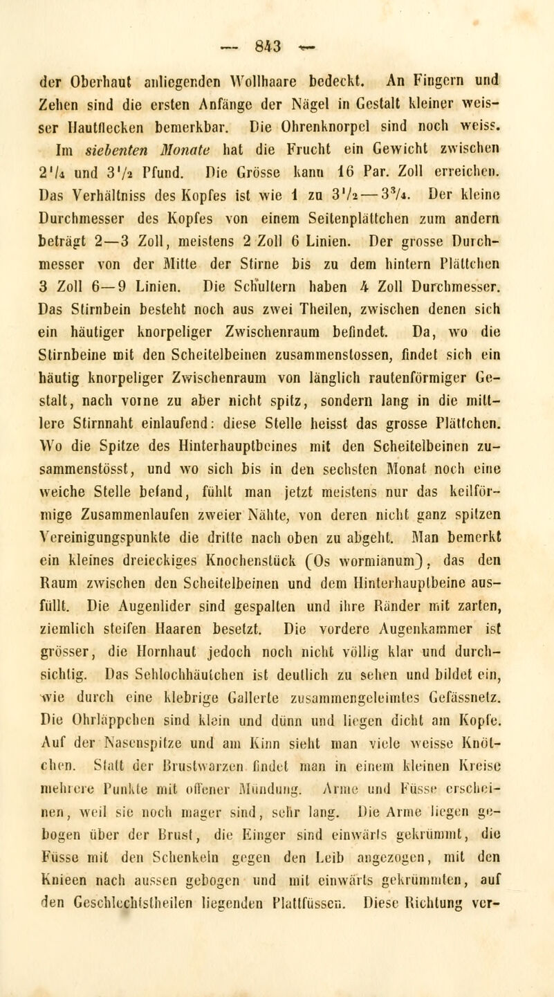 der Oberhaut anliegenden Wollhaare bedeckt. An Fingern und Zellen sind die ersten Anfänge der Nägel in Gestalt kleiner weis- ser Hautdecken bemerkbar. Die Ohrenknorpcl sind noch weiss. Im siebenten Monate hat die Frucht ein Gewicht zwischen 21/* und 3'/2 Pfund. Die Grösse kann 16 Par. Zoll erreichen. Das Verhältniss des Kopfes ist wie i zu 3lU — 3S/*. Der kleine Durchmesser des Kopfes von einem Seitenpläüchen zum andern beträgt 2—3 Zoll, meistens 2 Zoll 6 Linien. Der grosse Durch- messer von der Mitte der Stirne bis zu dem hintern Plättchen 3 Zoll 6—9 Linien. Die Schullern haben 4 Zoll Durchmesser. Das Stirnbein besteht noch aus zwei Theilen, zwischen denen sich ein häutiger knorpeliger Zwischenraum befindet. Da, wo die Stirnbeine mit den Scheitelbeinen zusammenslossen, findet sich ein häutig knorpeliger Zwischenraum von länglich rautenförmiger Ge- stalt, nach voine zu aber nicht spitz, sondern lang in die mitt- lere Stirnnaht einlaufend: diese Stelle heisst das grosse Plätfchen. Wo die Spitze des Hinterhauptbeines mit den Scheitelbeinen zu- sammenstösst, und wo sich bis in den sechsten Monat noch eine weiche Stelle befand, fühlt man jetzt meistens nur das keilför- mige Zusammenlaufen zweier Nähte, von deren nicht ganz spitzen Vereinigungspunkte die dritte nach oben zu abgeht. Man bemerkt ein kleines dreieckiges Knochenstück (Os wormianum}, das den Raum zwischen den Scheitelbeinen und dem Hinterhauptbeine aus- füllt. Die Augenlider sind gespalten und ihre Ränder mit zarten, ziemlich steifen Haaren besetzt. Die vordere Augenkammer ist grösser, die Hornhaut jedoch noch nicht völlig klar und durch- sichtig. Das Sehlochhäutchen ist deutlich zu sehen und bildet ein, wie durch eine klebrige Gallerte zusammengeleimtes Gefässnelz. Die Ohrläppchen sind klein und dünn und liegen dicht am Kopfe. Auf der Nasenspitze und am Kinn sieht man viele weisse Knöt- chen. Slalt der Brustwarzen findet man in einem kleinen Kreise mehrere Punkte mit offener Mündung« Anne und Küsse erschei- nen, weil sie noch mager sind, sehr lang. Die Arme liegen ge- bogen über der Brust, die Eiliger sind einwärts gekrümmt, die Füsse mit den Schenkeln gegen den Leib angezogen, mit den Knieen nach aussen gebogen und mit einwärts gekrümmten, auf den Geschlechtsteilen liegenden Plattfüsscn. Diese Richtung ver-