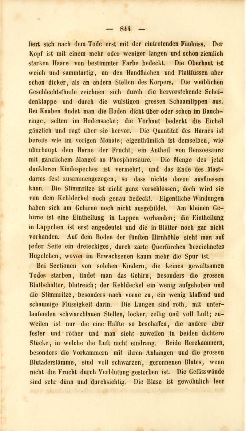 liert sich nach dem Tode erst mit der eintretenden Fäulniss. Der Kopf ist mit einem mehr oder weniger langen und schon ziemlich starken Haare von bestimmter Farbe bedeckt. Die Oberhaut ist weich und sammtartig, an den Handflächen und Plattfüssen aber schon dicker, als an andern Stellen des Körpers, Die weiblichen Geschlechtstheile zeichnen sich durch die hervorstehende Schei- denklappe und durch die wulstigen grossen Schaamlippen aus. Bei Knaben findet man die Hoden dicht über oder schon im Bauch- ringe, selten im Hodensacke; die Vorhaut bedeckt die Eichel gänzlich und ragt über sie hervor. Die Quantität des Harnes ist bereits wie im vorigen Monate; eigentümlich ist demselben, wie überhaupt dem Harne der Frucht, ein Antheil von Benzoesäure mit gänzlichem Mangel an Phosphorsäure. Die Menge des jetzt dunkleren Kindespeches ist vermehrt, und das Ende des Mast- darms fest zusammengezogen, so dass nichts davon ausfliessen kann. Die Stimmritze ist nicht ganz verschlossen, doch wird sie von dem Kehldeckel noch genau bedeckt. Eigentliche Windungen haben sich am Gehirne noch nicht ausgebildet. Am kleinen Ge- hirne ist eine Eintheilung in Lappen vorhanden; die Eintheilung in Läppchen ist erst angedeutet und die in Blätter noch gar nicht vorhanden. Auf dem Boden der fünften Hirnhöhle sieht man auf jeder Seite ein dreieckiges, durch zarte Querfurchen bezeichnetes Hügelchen, wovon im Erwachsenen kaum mehr die Spur ist. Bei Sectionen von solchen Kindern, die keines gewaltsamen Todes starben, findet man das Gehirn, besonders die grossen Blutbehälter, blutreich; der Kehldeckel ein wenig aufgehoben und die Stimmritze, besonders nach vorne zu, ein wenig klaffend und schaumige Flüssigkeit darin. Die Lungen sind roth, mit unter- laufenden schwarzblauen Stellen, locker, zellig und voll Luft; zu- weilen ist nur die eine Hälfte so beschaffen, die andere aber fester und röther und man sieht zuweilen in beiden dichtere Stücke, in welche die Luft nicht eindrang. Beide Herzkammern, besonders die Vorkammern mit ihren Anhängen und die grossen Blutaderstämme, sind voll schwarzen, geronnenen Blutes, wenn nicht die Frucht durch Verblutung gestorben ist. Die Gefasswände sind sehr dünn und durchsichtig. Die Blase ist gewöhnlich leer