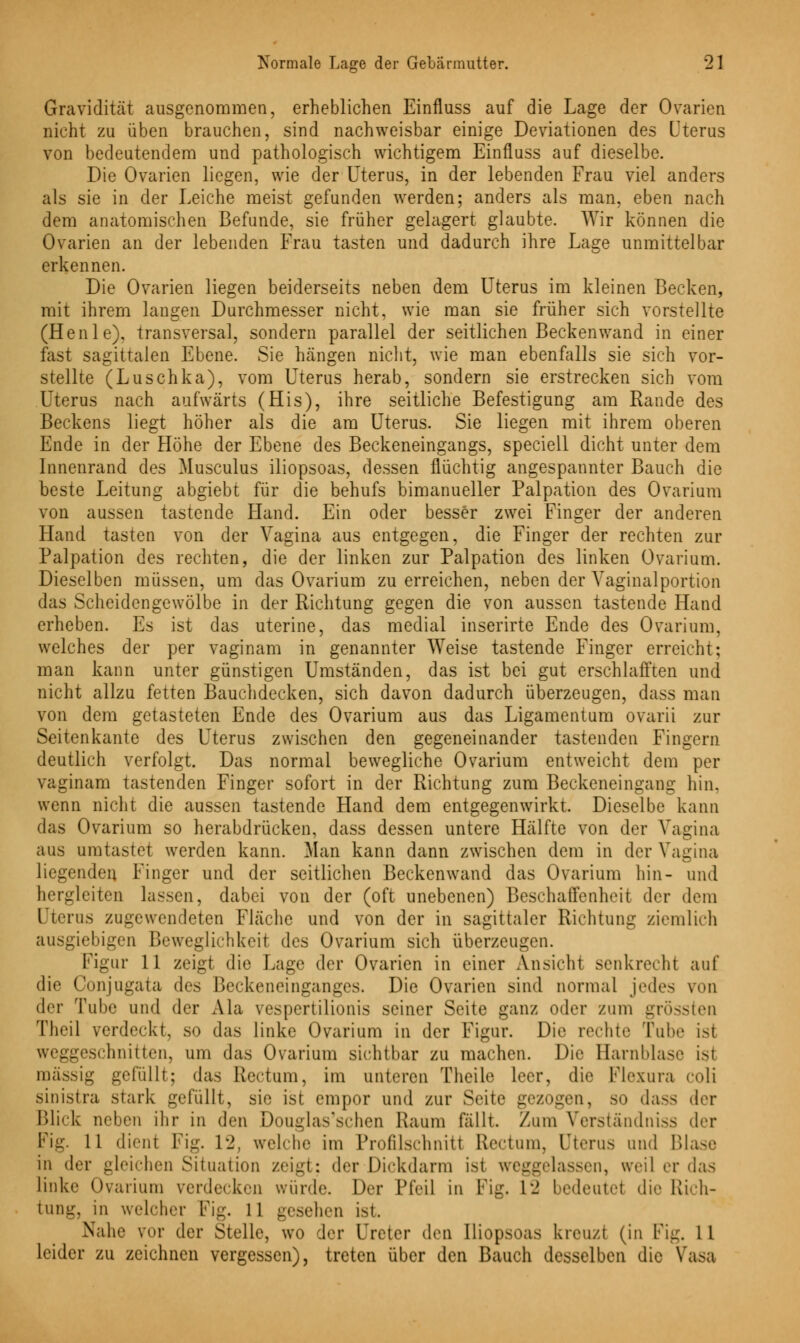 i~ Gravidität ausgenommen, erheblichen Einfluss auf die Lage der Ovarien nicht zu üben brauchen, sind nachweisbar einige Deviationen des Uterus von bedeutendem und pathologisch wichtigem Einfluss auf dieselbe. Die Ovarien liegen, wie der Uterus, in der lebenden Frau viel anders als sie in der Leiche meist gefunden werden; anders als man, eben nach dem anatomischen Befunde, sie früher gelagert glaubte. Wir können die Ovarien an der lebenden Frau tasten und dadurch ihre Lage unmittelbar erkennen. Die Ovarien liegen beiderseits neben dem Uterus im kleinen Becken, mit ihrem langen Durchmesser nicht, wie man sie früher sich vorstellte (Henle), transversal, sondern parallel der seitlichen Beckenwand in einer fast sagittalen Ebene. Sie hängen nicht, wie man ebenfalls sie sich vor- stellte (Luschka), vom Uterus herab, sondern sie erstrecken sich vom Uterus nach aufwärts (His), ihre seitliche Befestigung am Rande des Beckens liegt höher als die am Uterus. Sie liegen mit ihrem oberen Ende in der Höhe der Ebene des Beckeneingangs, speciell dicht unter dem Innenrand des Musculus iliopsoas, dessen flüchtig angespannter Bauch die beste Leitung abgiebt für die behufs bimanueller Palpation des Ovarium von aussen tastende Hand. Ein oder besser zwei Finger der anderen Hand tasten von der Vagina aus entgegen, die Finger der rechten zur Palpation des rechten, die der linken zur Palpation des linken Ovarium. Dieselben müssen, um das Ovarium zu erreichen, neben der Yaginalportion das Scheidengewölbe in der Richtung gegen die von aussen tastende Hand erheben. Es ist das uterine, das medial inserirte Ende des Ovarium. welches der per vaginam in genannter Weise tastende Finger erreicht; man kann unter günstigen Umständen, das ist bei gut erschlafften und nicht allzu fetten Bauchdecken, sich davon dadurch überzeugen, dass man von dem getasteten Ende des Ovarium aus das Ligamentum ovarii zur Seitenkante des Uterus zwischen den gegeneinander tastenden Fingern deutlich verfolgt. Das normal bewegliche Ovarium entweicht dem per vaginam tastenden Finger sofort in der Richtung zum Beckeneingang hin, wenn nicht die aussen tastende Hand dem entgegenwirkt. Dieselbe kann das Ovarium so herabdrücken, dass dessen untere Hälfte von der Vagina aus umtastet werden kann. Man kann dann zwischen dem in der Vagina liegenden Finger und der seitlichen Beckenwand das Ovarium hin- und hergleiten lassen, dabei von der (oft unebenen) Beschaffenheit der dem Uterus zugewendeten Fläche und von der in sagittaler Richtung ziem lieh ausgiebigen Beweglichkeit des Ovarium sich überzeugen. Figur 11 zeigt die Lage der Ovarien in einer Ansicht senkrecht auf die Conjugata des Beckeneinganges. Die Ovarien sind normal jedes ven der Tube und der Ala vespertilionis seiner Seite ganz oder zum grössten Theil verdeckt, so das linke Ovarium in der Figur. Die rechte Tube ist weggeschnitten, um das Ovarium sichtbar zu machen. Die Harnblase ist massig gefüllt; das Rectum, im unteren Theile leer, die Flexura coli sinistra stark gefüllt, sie ist empor und zur Seite gezogen, so dass der Blick neben ihr in den Douglas'schen Kaum fällt. Zum Verständniss der Fig. 11 dient Fig. 12, welche im Profilschniti Rectum, Uterus und Blase in der gleichen Situation zeigt: der Dickdarm ist weggelassen, weil er das linke Ovarium verdecken wurde. Der Pfeil in Fig. 12 bedeutet die Rich- tung, in welcher Fig. 11 gesehen ist. Nahe vor der Stelle, wo der Ureter den Iliopsoas kreuzl (in Fig. 11 leider zu zeichnen vergessen), treten über den Bauch desselben die Vasa