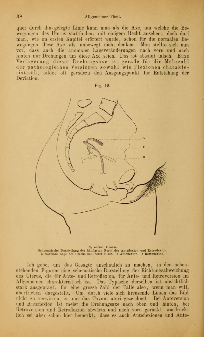 quer durch ihn- gelegte Linie kann man als die Axe, um welche die Be- wegungen des Uterus stattfinden, mit einigem Recht ansehen, doch darf man, wie im ersten Kapitel erörtert wurde, schon für die normalen Be- wegungen diese Axe als unbewegt nicht denken. Man stellte sich nun vor, dass auch die anomalen Lageveränderungen nach vorn und nach hinten nur Drehungen um diese Axe seien. Das ist absolut falsch. Eine Verlagerung dieser Drehungsaxe ist gerade für die Mehrzahl der pathologischen Versionen sowohl wie Flexionen charakte- ristisch, bildet oft geradezu den Ausgangspunkt für Entstehung der Deviation. Fig. 19. V3 natürl. Grösse. Schematische Darstellung der häufigsten Form der Anteflexion und Retroflexion. n Normale Lage des Uterus bei leerer Blase, a Anteflexion. r Retroflexion. Ich gebe, um das Gesagte anschaulich zu machen, in den neben- stehenden Figuren eine schematische Darstellung der Richtungsabweichung des Uterus, die für Ante- und Retroflexion, für Ante- und Retroversion im Allgemeinen charakteristisch ist. Das Typische derselben ist absichtlich stark ausgeprägt, für eine grosse Zahl der Fälle also, wenn man will, übertrieben dargestellt. Um durch viele sich kreuzende Linien das Bild nicht zu verwirren, ist nur das Cavum uteri gezeichnet. Bei Anteversion und Anteflexion ist meist die Drehungsaxe nach oben und hinten, bei Retroversion und Retroflexion abwärts und nach vorn gerückt, ausdrück- lich sei aber schon hier bemerkt, dass es auch Anteflexionen und Ante-