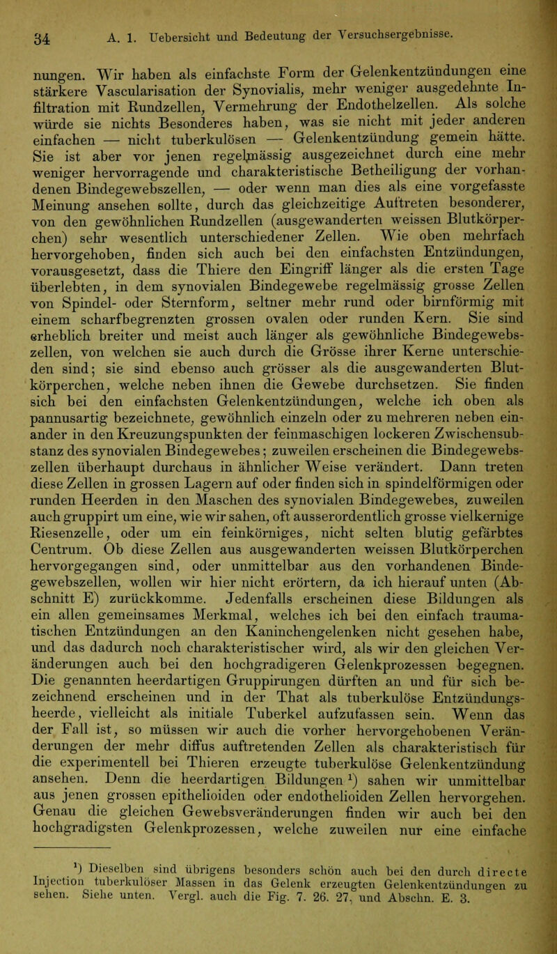 nungen. Wir haben als einfachste Form der Gelenkentzündungen eine stärkere Vascularisation der Synovialis, mehr weniger ausgedehnte In- filtration mit Rundzellen, Vermehrung der Endothelzellen. Als solche würde sie nichts Besonderes haben, was sie nicht mit jeder anderen einfachen — nicht tuberkulösen — Gelenkentzündung gemein hätte. Sie ist aber vor jenen regelmässig ausgezeichnet durch eine mehr weniger hervorragende und charakteristische Betheiligung der vorhan- denen Bindegewebszellen, — oder wenn man dies als eine vorgefasste Meinung ansehen sollte, durch das gleichzeitige Auftreten besonderer, von den gewöhnlichen Rundzellen (ausgewanderten weissen Blutkörper- chen) sehr wesentlich unterschiedener Zellen. Wie oben mehrfach hervorgehoben, finden sich auch bei den einfachsten Entzündungen, vorausgesetzt, dass die Thiere den Eingriff länger als die ersten Tage überlebten, in dem synovialen Bindegewebe regelmässig grosse Zellen von Spindel- oder Sternform, seltner mehr rund oder birnförmig mit einem scharfbegrenzten grossen ovalen oder runden Kern. Sie sind erheblich breiter und meist auch länger als gewöhnliche Bindegewebs- zellen, von welchen sie auch durch die Grösse ihrer Kerne unterschie- den sind; sie sind ebenso auch grösser als die ausgewanderten Blut- körperchen, welche neben ihnen die Gewebe durchsetzen. Sie finden sich bei den einfachsten Gelenkentzündungen, welche ich oben als pannusartig bezeichnete, gewöhnlich einzeln oder zu mehreren neben ein- ander in den Kreuzungspunkten der feinmaschigen lockeren Zwischensub- stanz des synovialen Bindegewebes; zuweilen erscheinen die Bindegewebs- zellen überhaupt durchaus in ähnlicher Weise verändert. Dann treten diese Zellen in grossen Lagern auf oder finden sich in spindelförmigen oder runden Heerden in den Maschen des synovialen Bindegewebes, zuweilen auch gruppirt um eine, wie wir sahen, oft ausserordentlich grosse vielkernige Riesenzelle, oder um ein feinkörniges, nicht selten blutig gefärbtes Centrum. Ob diese Zellen aus ausgewanderten weissen Blutkörperchen hervorgegangen sind, oder unmittelbar aus den vorhandenen Binde- gewebszellen, wollen wir hier nicht erörtern, da ich hierauf unten (Ab- schnitt E) zurückkomme. Jedenfalls erscheinen diese Bildungen als ein allen gemeinsames Merkmal, welches ich bei den einfach trauma- tischen Entzündungen an den Kaninchengelenken nicht gesehen habe, und das dadurch noch charakteristischer wird, als wir den gleichen Ver- änderungen auch bei den hochgradigeren Gelenkprozessen begegnen. Die genannten heerdartigen Gruppirungen dürften an und für sich be- zeichnend erscheinen und in der That als tuberkulöse Entzündungs- heerde, vielleicht als initiale Tuberkel aufzufassen sein. Wenn das der Fall ist, so müssen wir auch die vorher hervorgehobenen Verän- derungen der mehr diffus auftretenden Zellen als charakteristisch für die experimentell bei Thieren erzeugte tuberkulöse Gelenkentzündung ansehen. Denn die heerdartigen Bildungen*) sahen wir unmittelbar aus jenen grossen epithelioiden oder endothelioiden Zellen hervorgehen. Genau die gleichen Gewebsveränderungen finden wir auch bei den hochgradigsten Gelenkprozessen, welche zuweilen nur eine einfache ') Dieselben sind übrigens besonders schön auch bei den durch directe Injection tuberkulöser Massen in das Gelenk erzeugten Gelenkentzündungen zu sehen. Siehe unten. Vergl. auch die Fig. 7. 26. 27, und Abschn. E. 3.