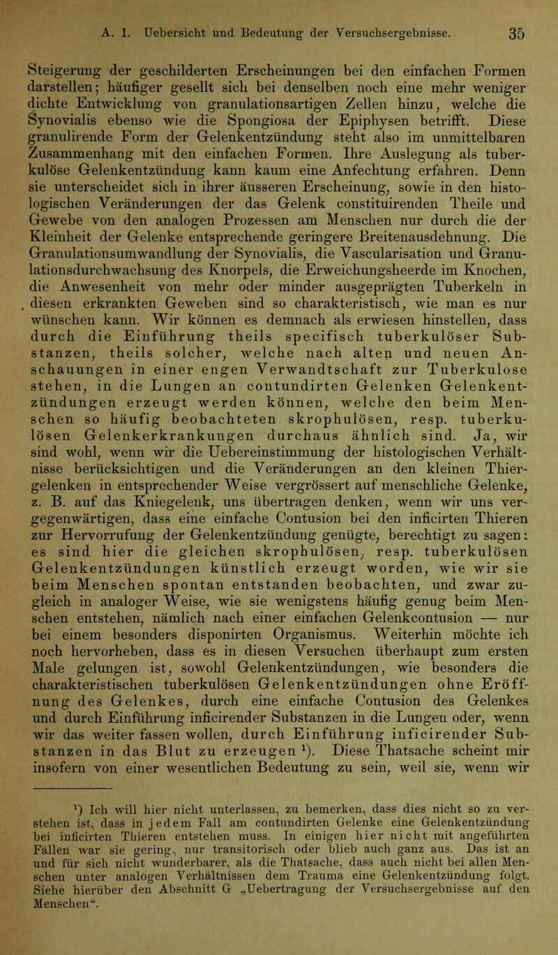 Steigerung der geschilderten Erscheinungen bei den einfachen Formen darstellen; häufiger gesellt sich bei denselben noch eine mehr weniger dichte Entwicklung von granulationsartigen Zellen hinzu, welche die Synovialis ebenso wie die Spongiosa der Epiphysen betrifft. Diese granuliiende Form der Gelenkentzündung steht also im unmittelbaren Zusammenhang mit den einfachen Formen. Ihre Auslegung als tuber- kulöse Gelenkentzündung kann kaum eine Anfechtung erfahren. Denn sie unterscheidet sich in ihrer äusseren Erscheinung, sowie in den histo- logischen Veränderungen der das Gelenk constituirenden Theile und Gewebe von den analogen Prozessen am Menschen nur durch die der Kleinheit der Gelenke entsprechende geringere Breitenausdehnung. Die Granulationsumwandlung der Synovialis, die Vascularisation und Granu- lationsdurchwachsung des Knorpels, die Erweichungsheerde im Knochen, die Anwesenheit von mehr oder minder ausgeprägten Tuberkeln in , diesen erkrankten Geweben sind so charakteristisch, wie man es nur wünschen kann. Wir können es demnach als erwiesen hinstellen, dass durch die Einführung theils specifisch tuberkulöser Sub- stanzen, theils solcher, welche nach alten und neuen An- schauungen in einer engen Verwandtschaft zur Tuberkulose stehen, in die Lungen an contundirten Gelenken Gelenkent- zündungen erzeugt werden können, welche den beim Men- schen so häufig beobachteten skrophulösen, resp. tuberku- lösen Gelenkerkrankungen durchaus ähnlich sind. Ja, wir sind wohl, wenn wir die Uebereinstimmung der histologischen Verhält- nisse berücksichtigen und die Veränderungen an den kleinen Thier- gelenken in entsprechender Weise vergrössert auf menschliche Gelenke, z. B. auf das Kniegelenk, uns übertragen denken, wenn wir uns ver- gegenwärtigen, dass eine einfache Contusion bei den inficirten Thieren zur Hervorrufung der Gelenkentzündung genügte, berechtigt zu sagen: es sind hier die gleichen skrophulösen, resp. tuberkulösen Gelenkentzündungen künstlich erzeugt worden, wie wir sie beim Menschen spontan entstanden beobachten, und zwar zu- gleich in analoger Weise, wie sie wenigstens häufig genug beim Men- schen entstehen, nämlich nach einer einfachen Gelenkcontusion —■ nur bei einem besonders disponirten Organismus. Weiterhin möchte ich noch hervorheben, dass es in diesen Versuchen überhaupt zum ersten Male gelungen ist, sowohl Gelenkentzündungen, wie besonders die charakteristischen tuberkulösen Gelenkentzündungen ohne Eröff- nung des Gelenkes, durch eine einfache Contusion des Gelenkes und durch Einführung inficirender Substanzen in die Lungen oder, wenn wir das weiter fassen wollen, durch Einführung inficirender Sub- stanzen in das Blut zu erzeugen l). Diese Thatsache scheint mir insofern von einer wesentlichen Bedeutung zu sein, weil sie, wenn wir ') Ich will hier nicht unterlassen, zu bemerken, dass dies nicht so zu ver- stehen ist, dass in jedem Fall am contundirten Gelenke eine Gelenkentzündung bei inficirten Thieren entstehen muss. In einigen hier nicht mit angeführten Fällen war sie gering, nur transitorisch oder blieb auch ganz aus. Das ist an und für sich nicht wunderbarer, als die Thatsache, dass auch nicht bei allen Men- schen unter analogen Verhältnissen dem Trauma eine Gelenkentzündung folgt. Siehe hierüber den Abschnitt G „Uebertragung der Versuchsergebnisse auf den Menschen.